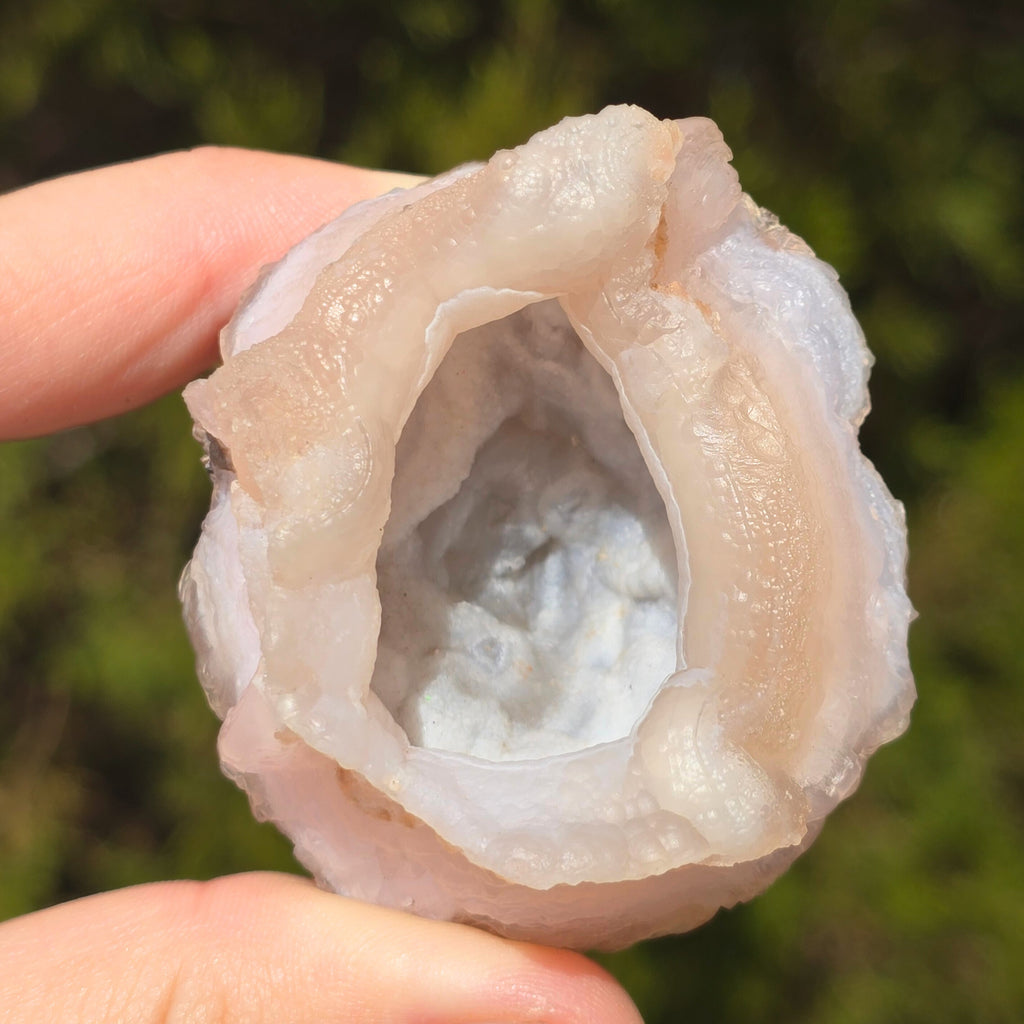 MN0101-Chalcedony Rose