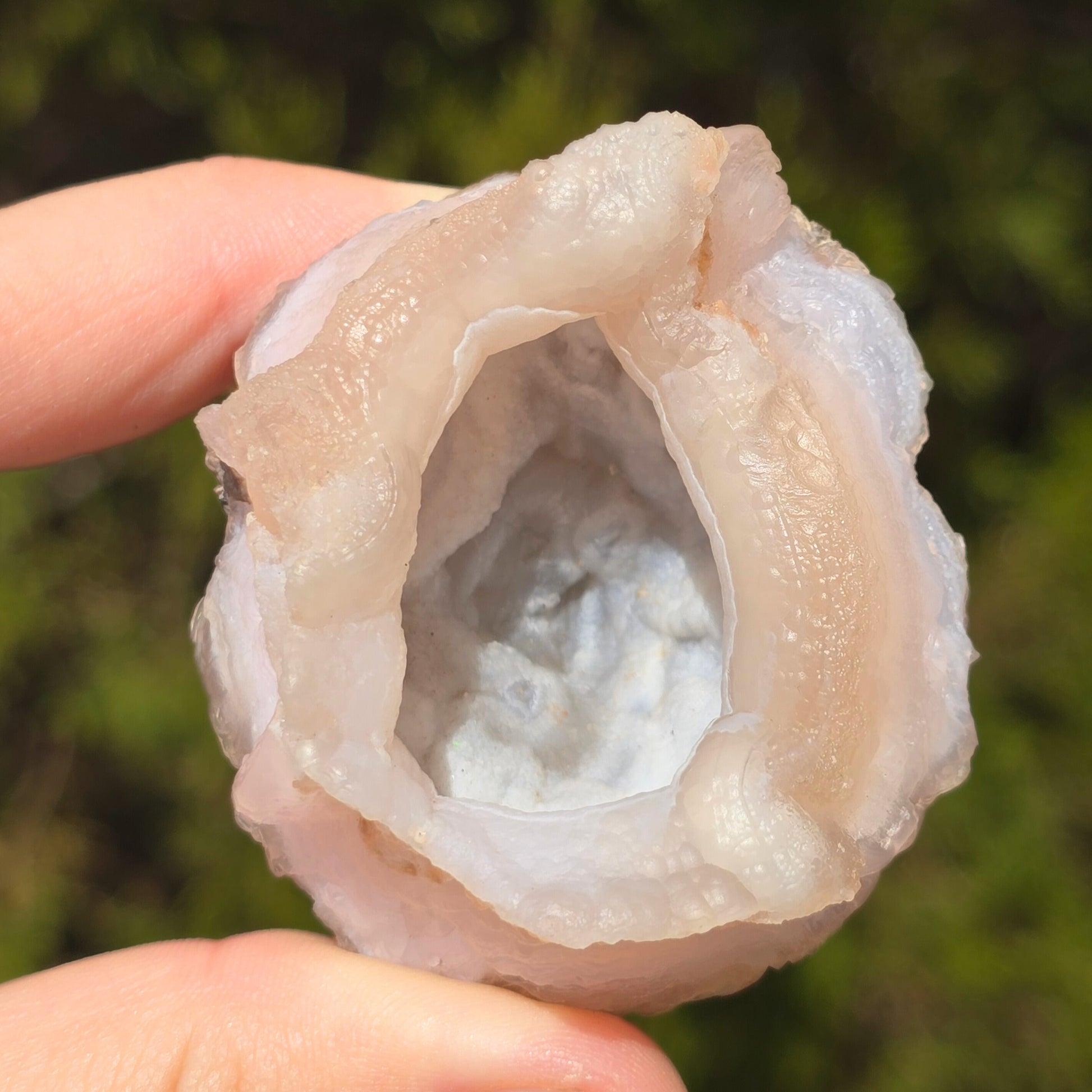 MN0101-Chalcedony Rose