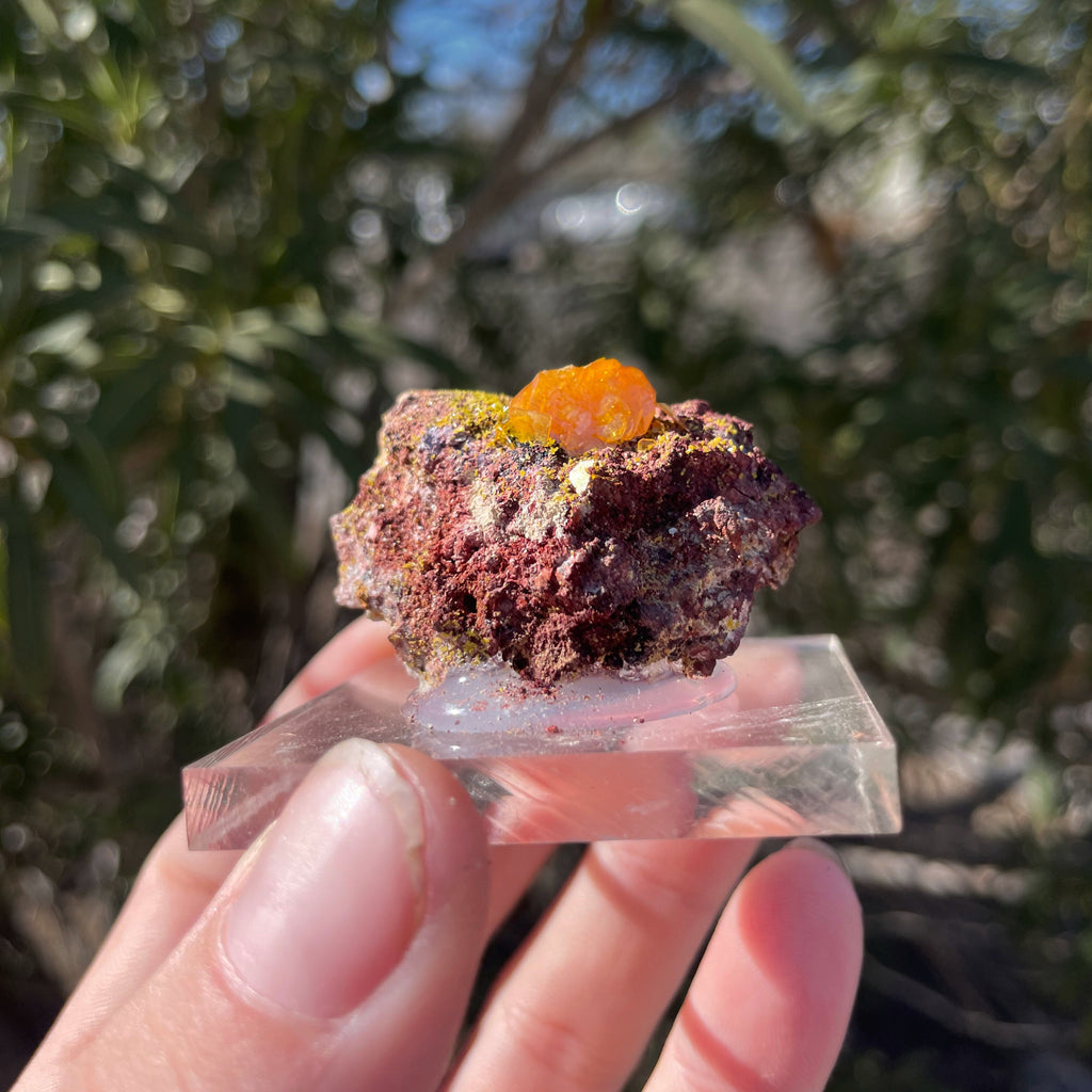 MN0032-Wulfenite