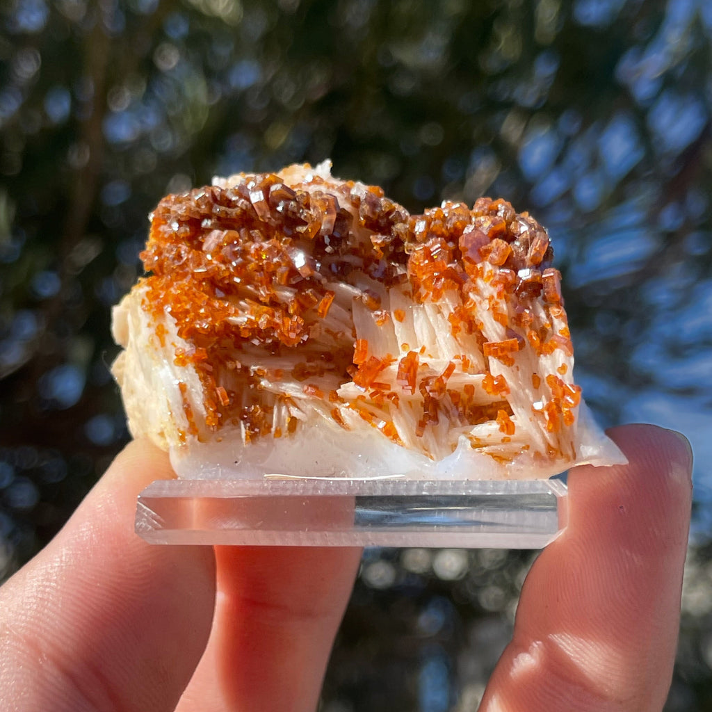 MN0034-Vanadinite On Barite