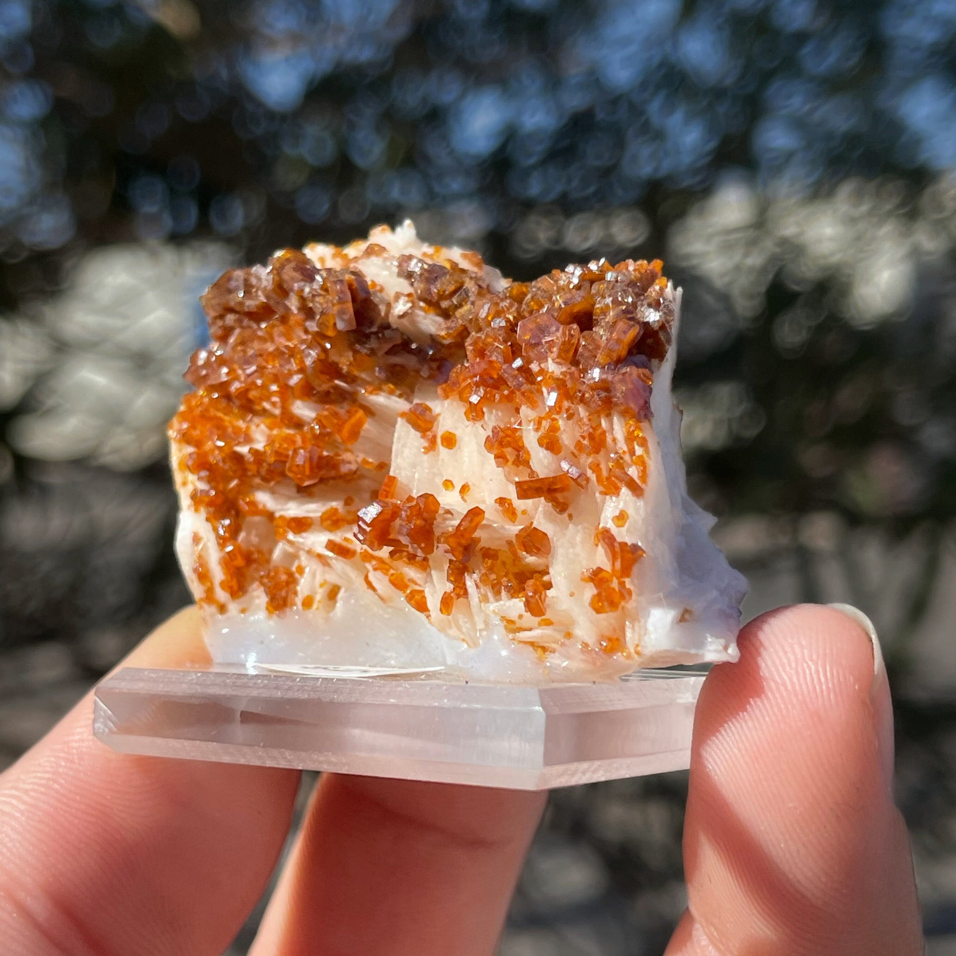 MN0034-Vanadinite On Barite