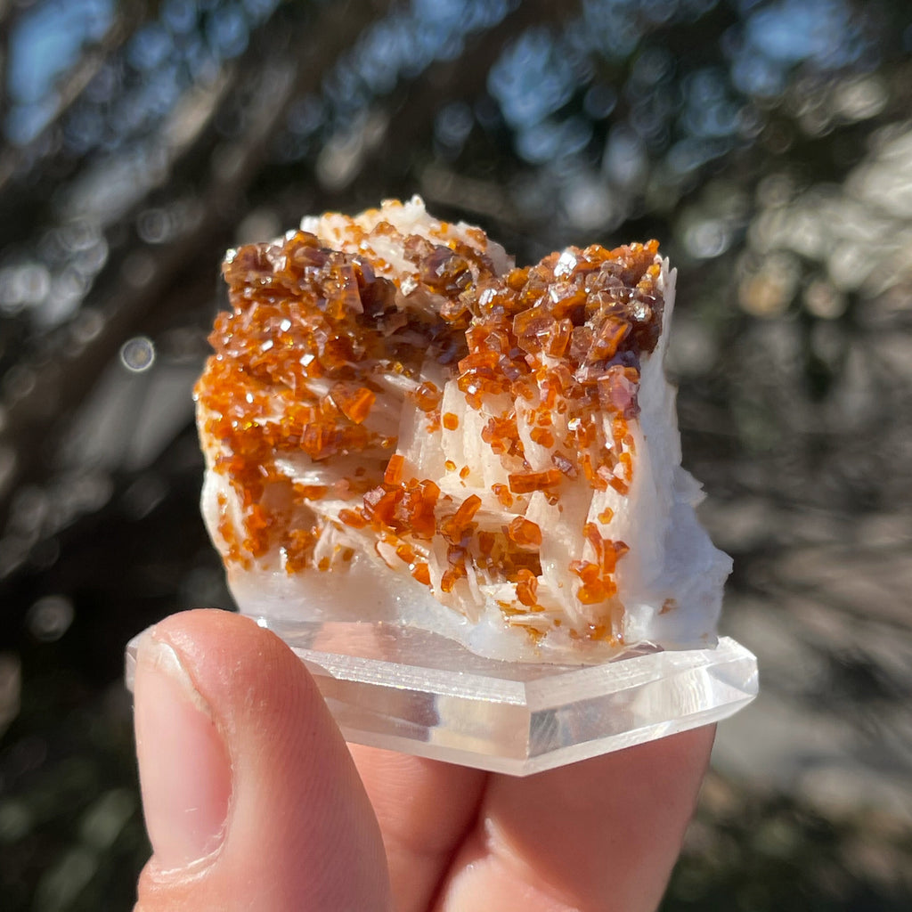 MN0034-Vanadinite On Barite