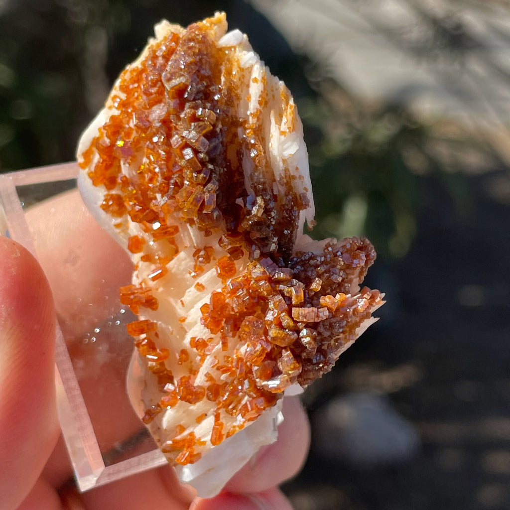 MN0034-Vanadinite On Barite