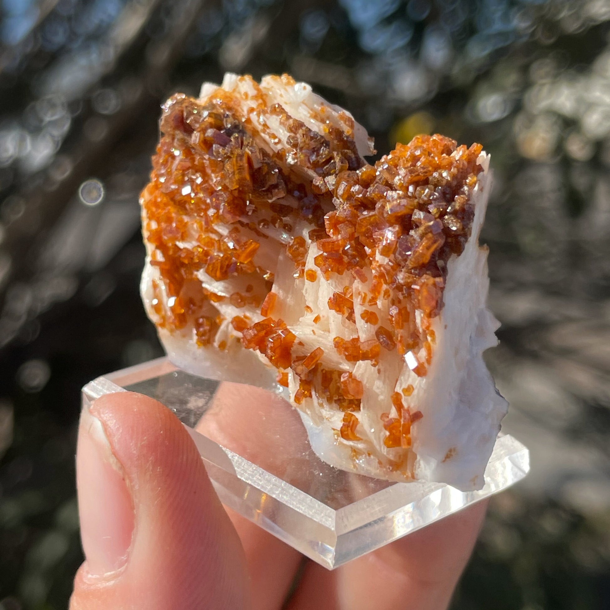 MN0034-Vanadinite On Barite