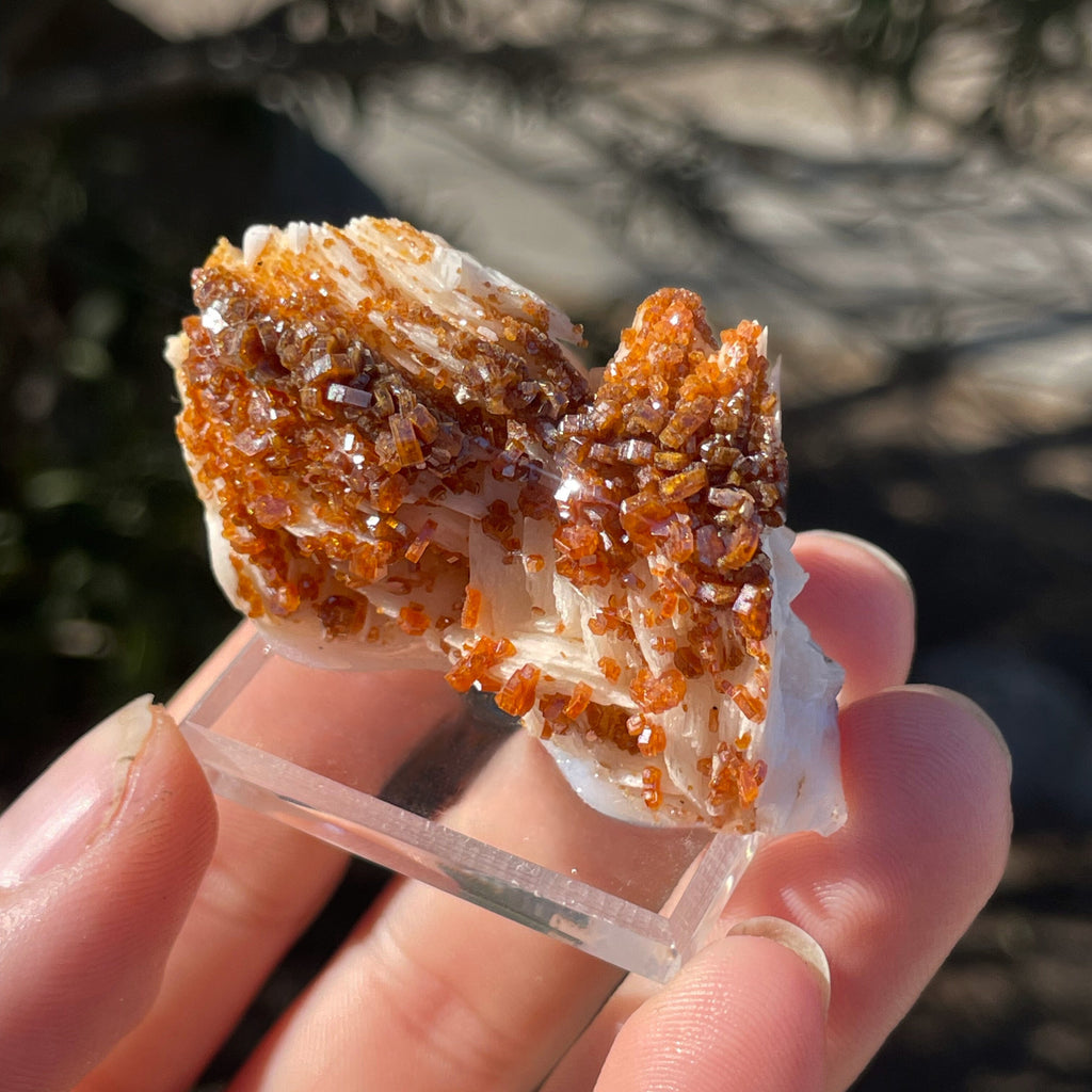 MN0034-Vanadinite On Barite