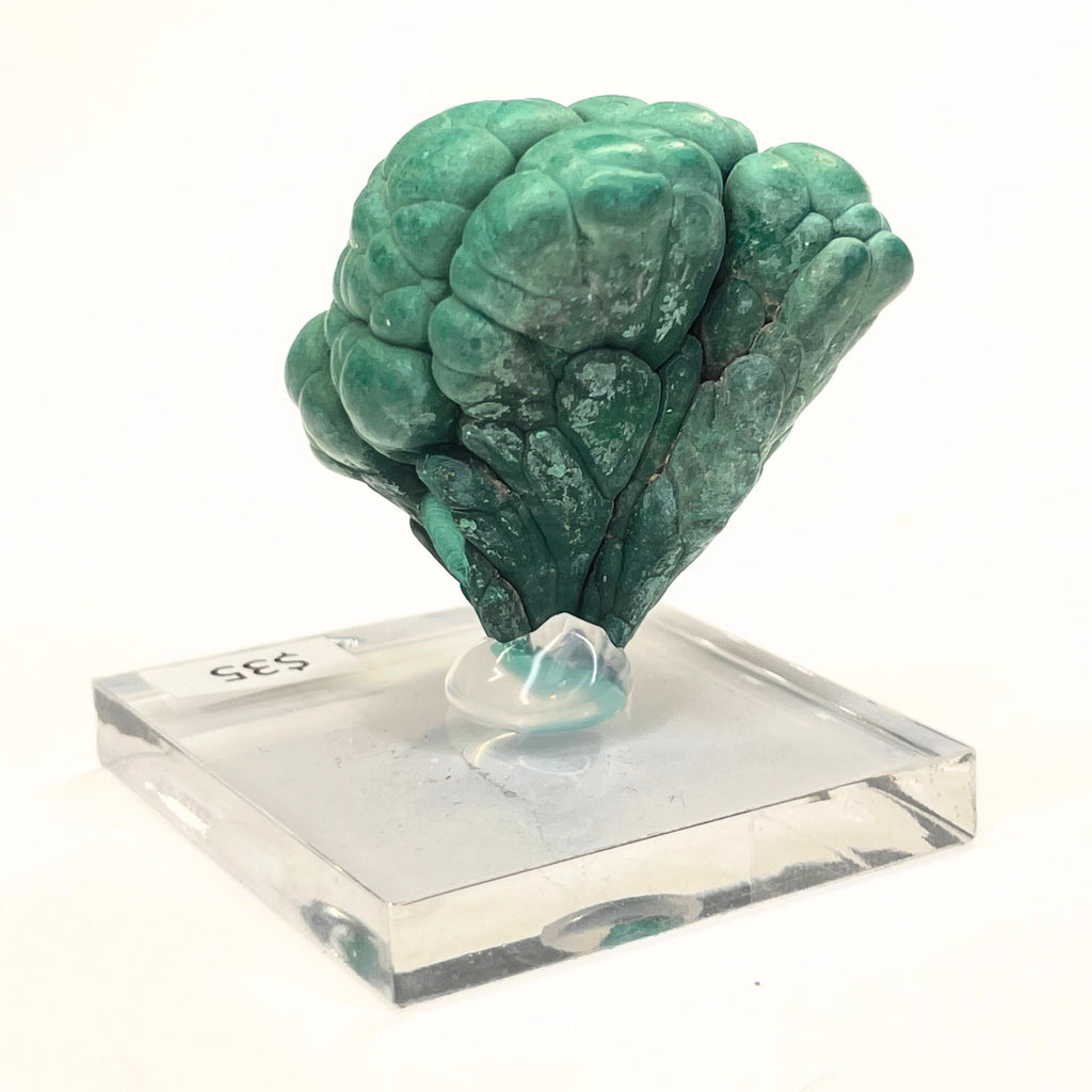 MN0046-Malachite "Mushroom"