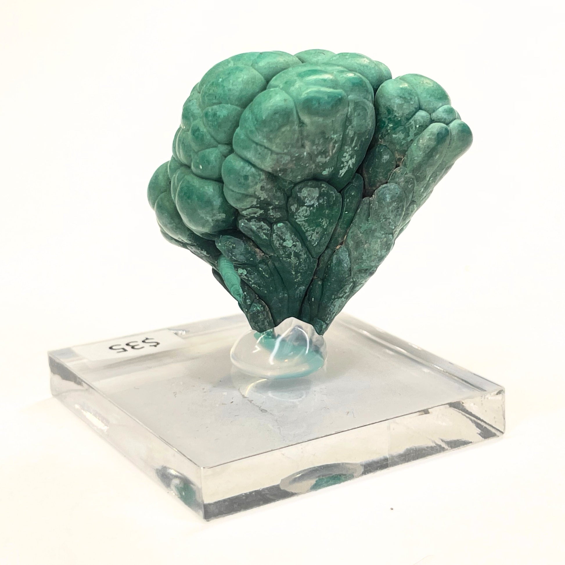 MN0046-Malachite "Mushroom"