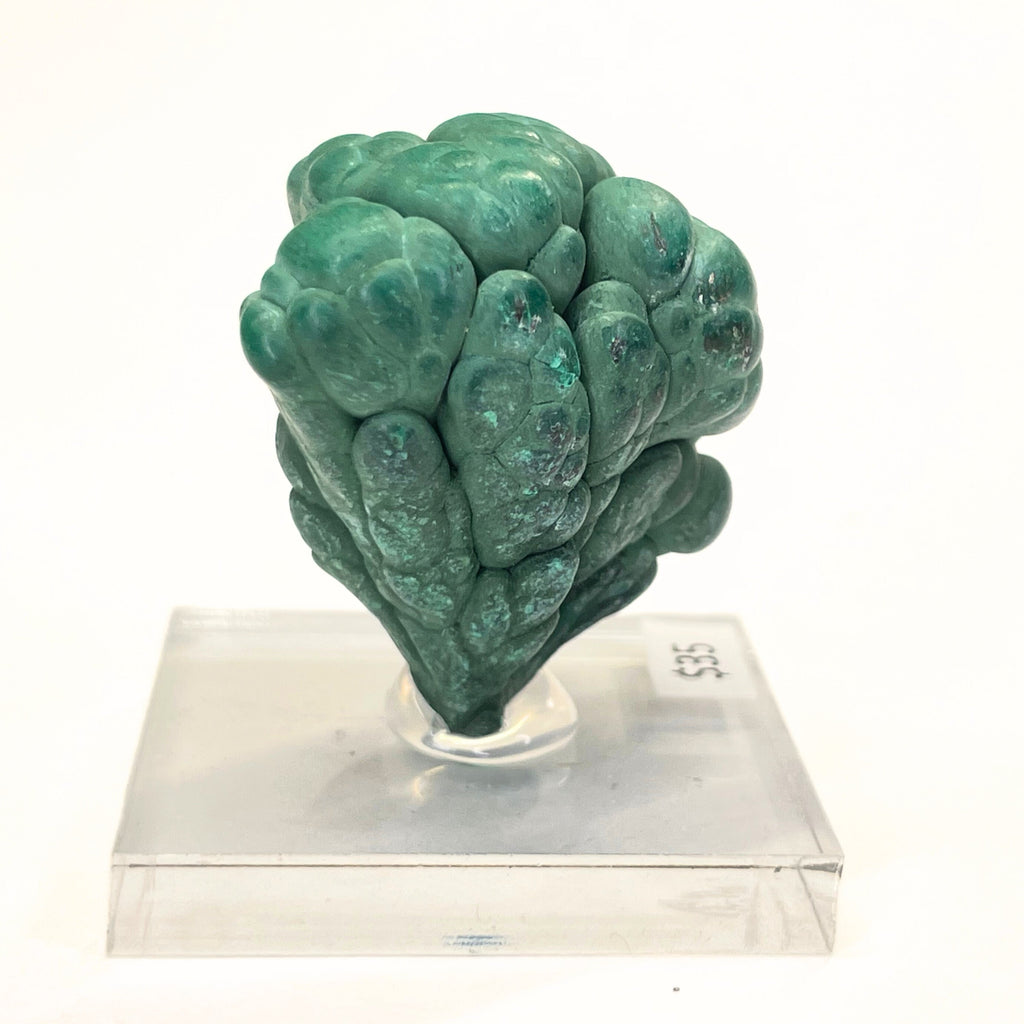 MN0046-Malachite "Mushroom"