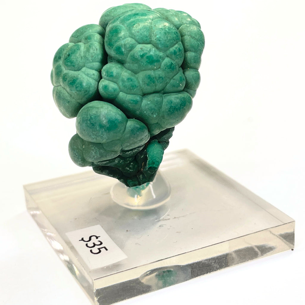 MN0046-Malachite "Mushroom"