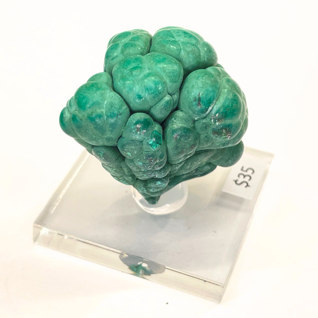 MN0046-Malachite "Mushroom"
