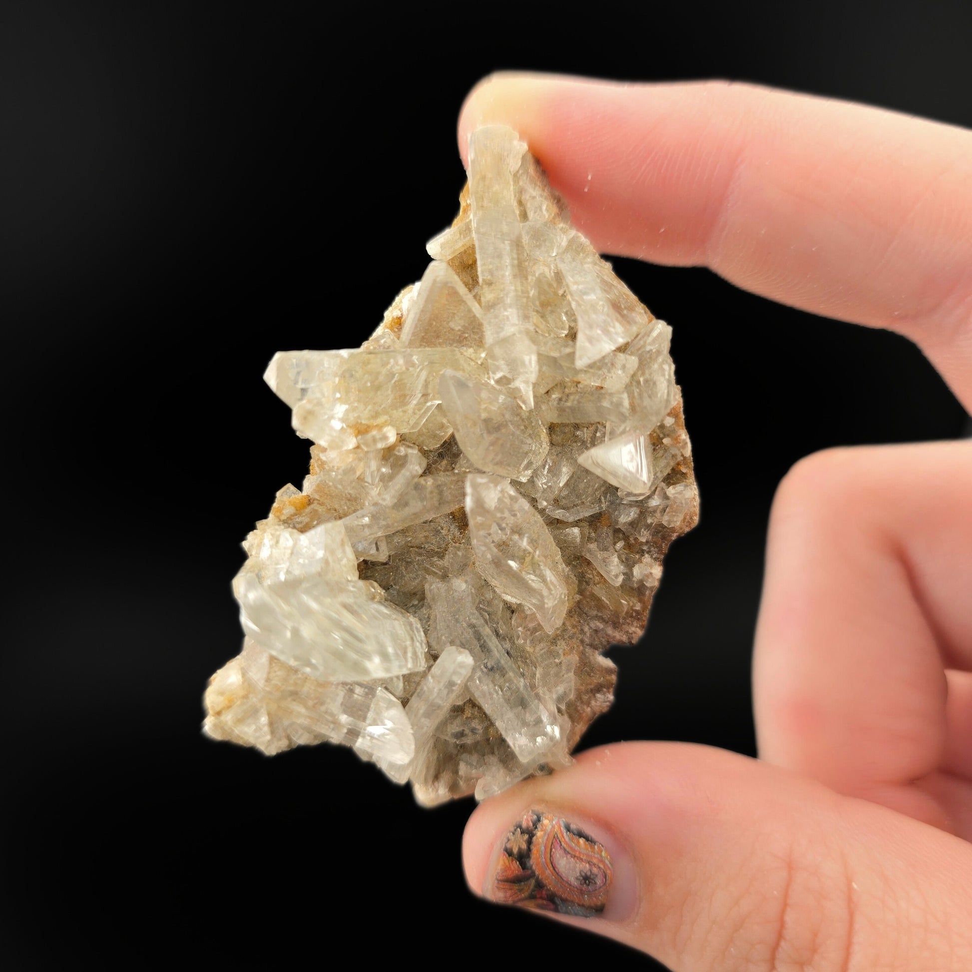 MN0052-Gypsum Var. Selenite