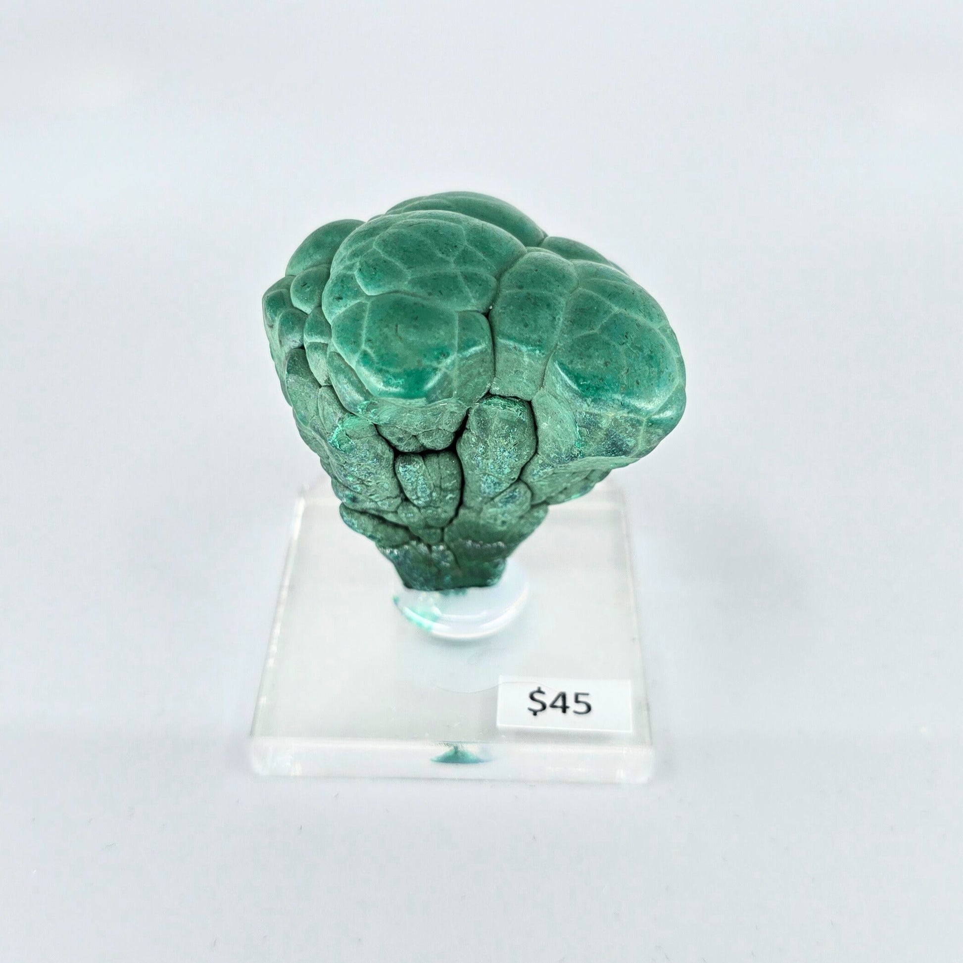 MN0054-Malachite "Mushroom"