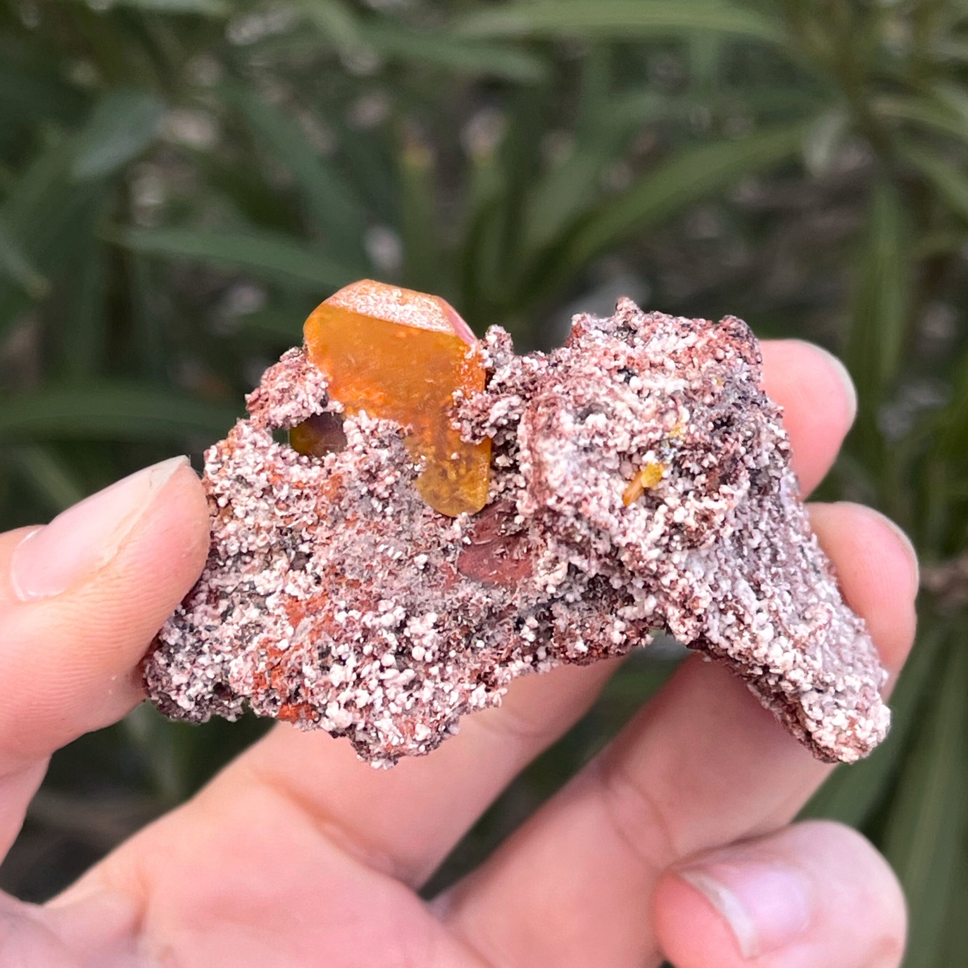 MN0076-Wulfenite
