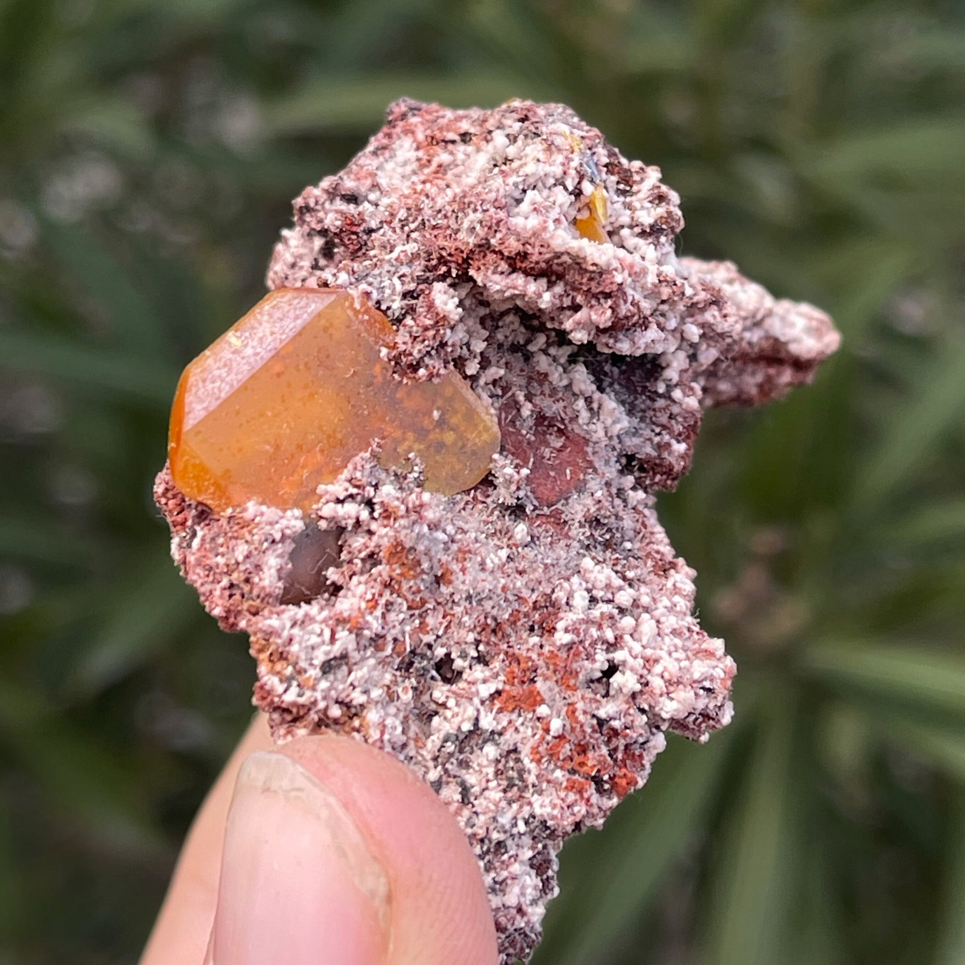 MN0076-Wulfenite