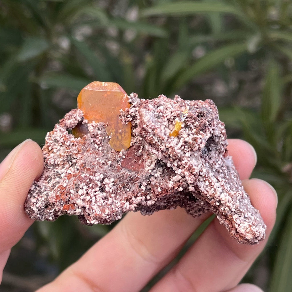 MN0076-Wulfenite