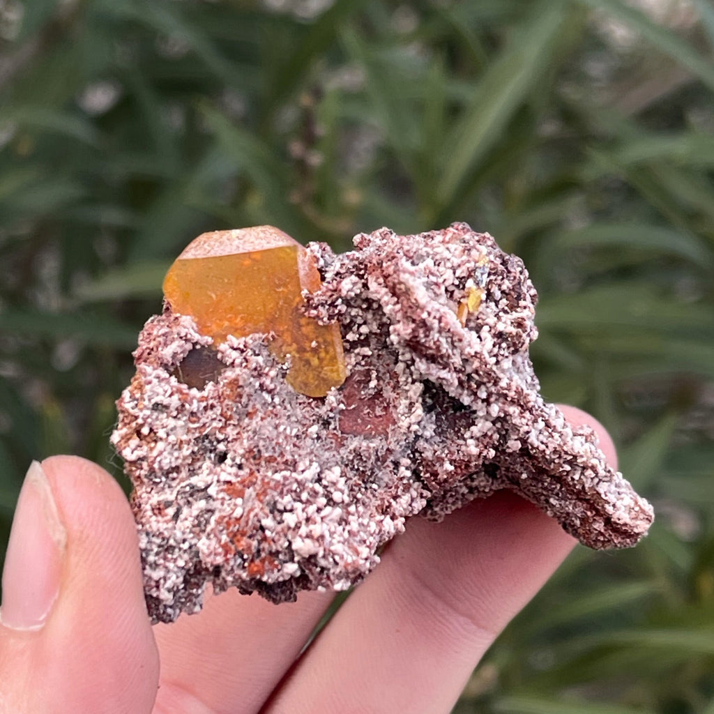 MN0076-Wulfenite