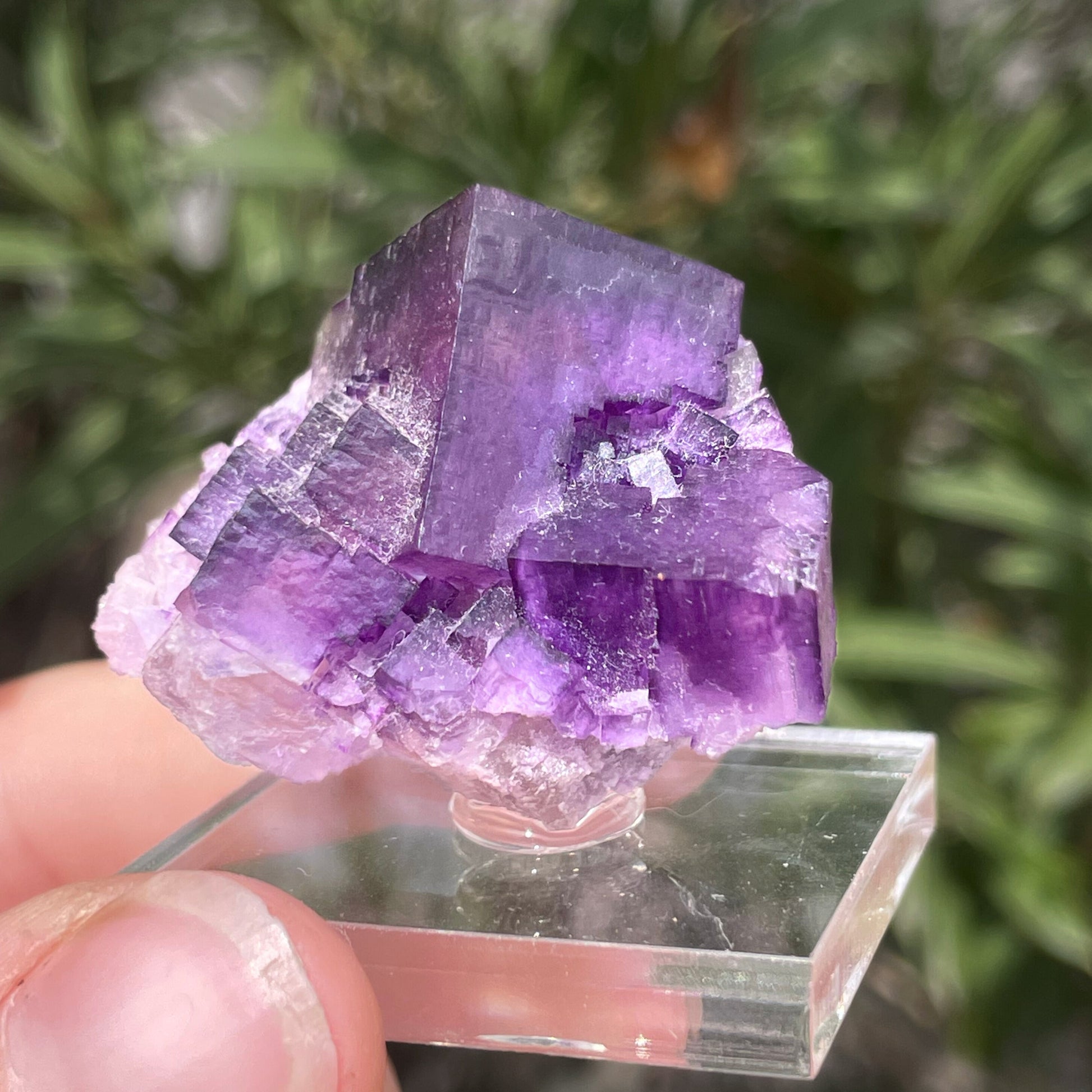 MN0088-Fluorite