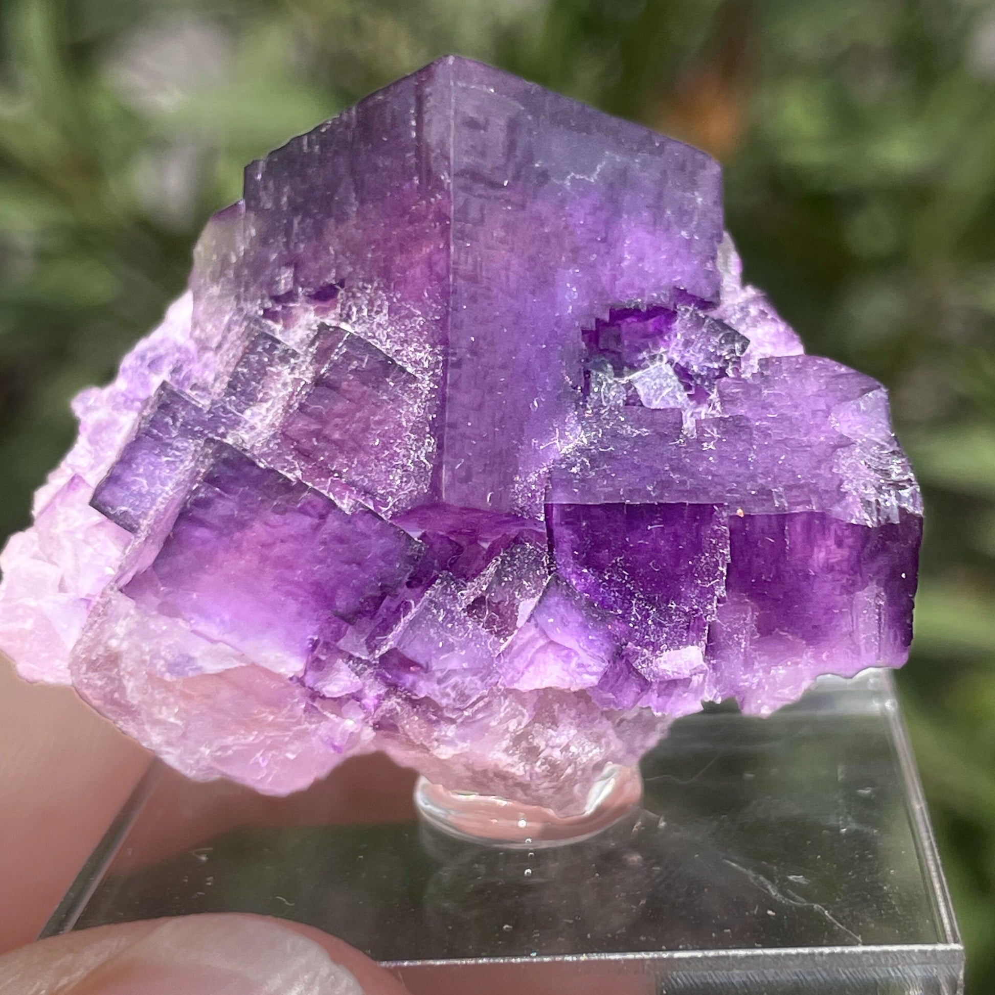 MN0088-Fluorite