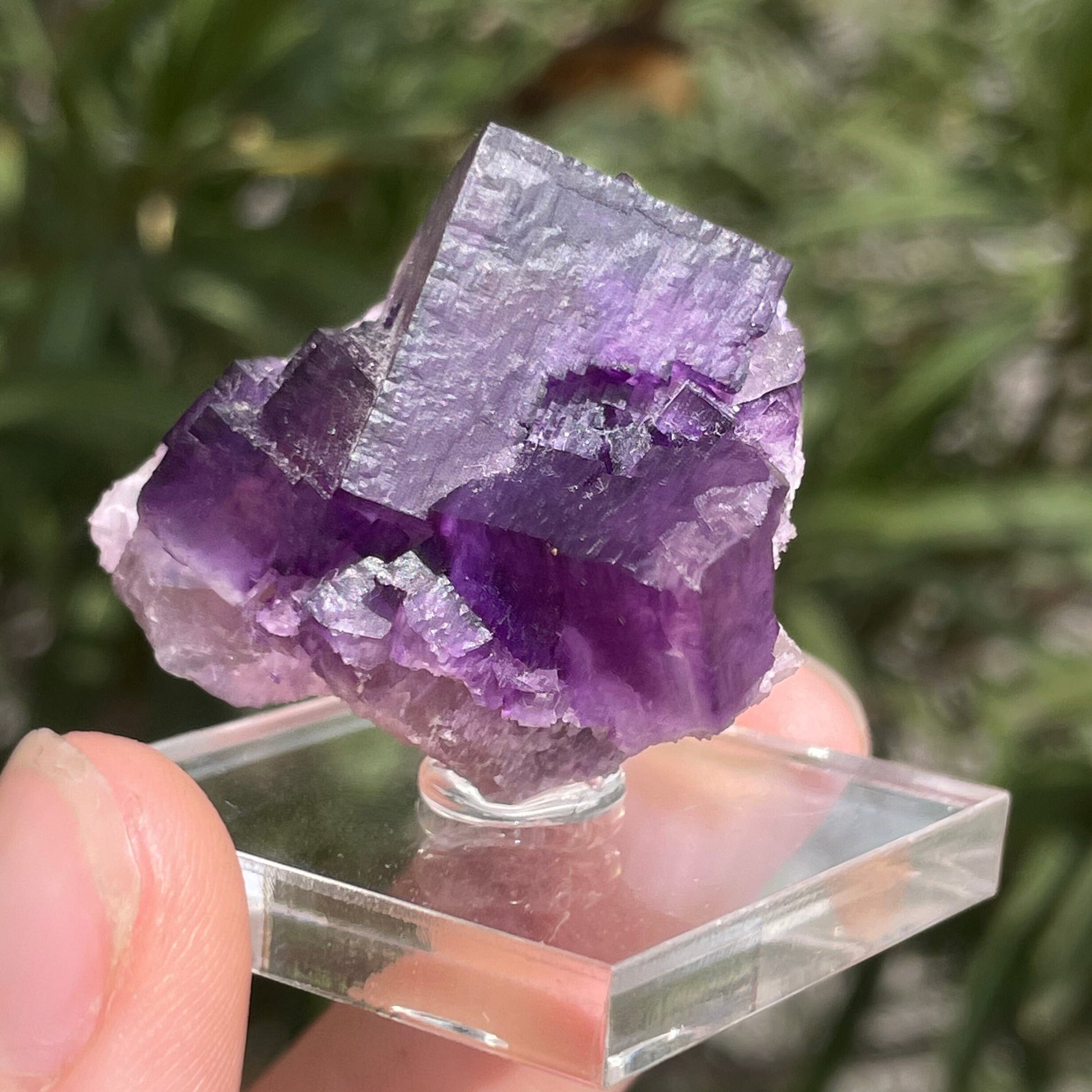 MN0088-Fluorite