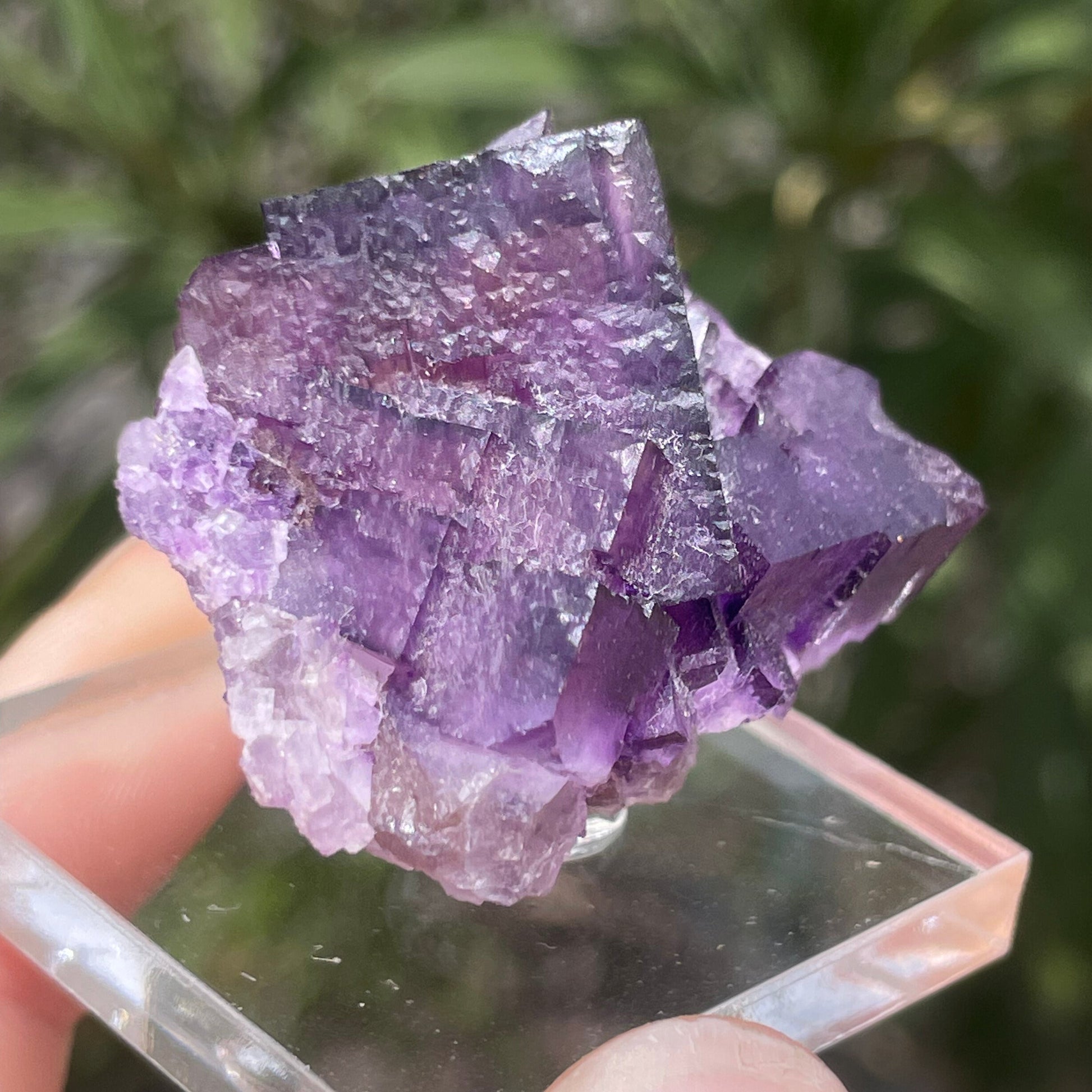 MN0088-Fluorite