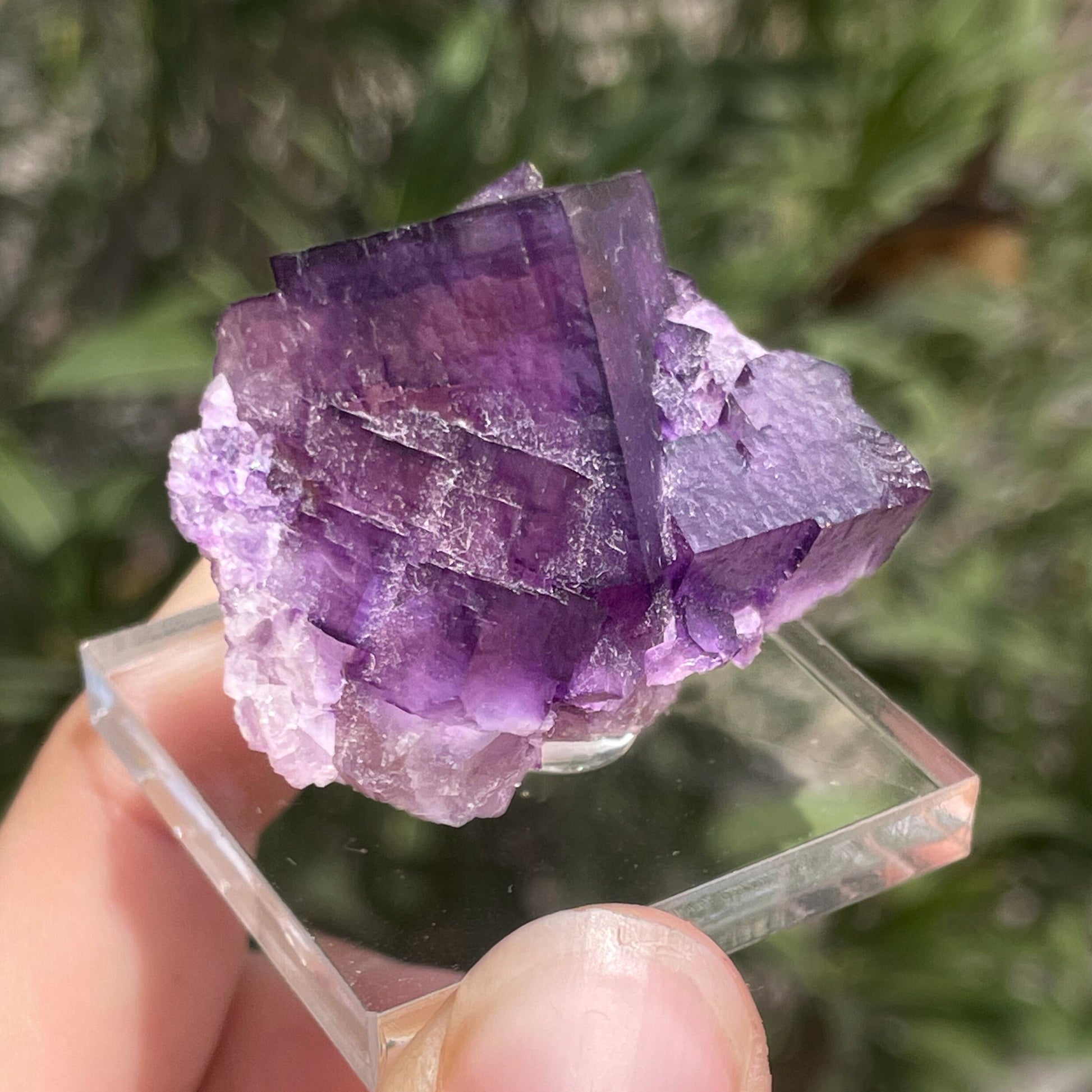 MN0088-Fluorite