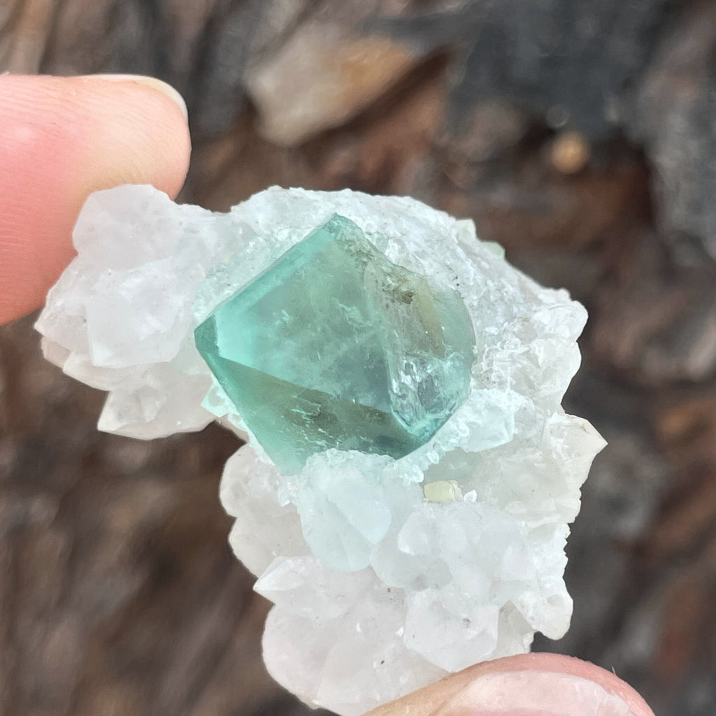 MN0089-Fluorite