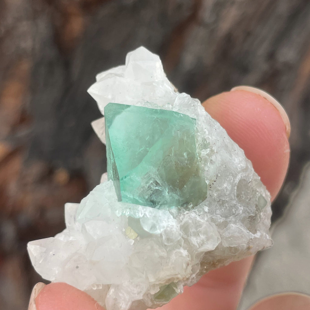 MN0089-Fluorite