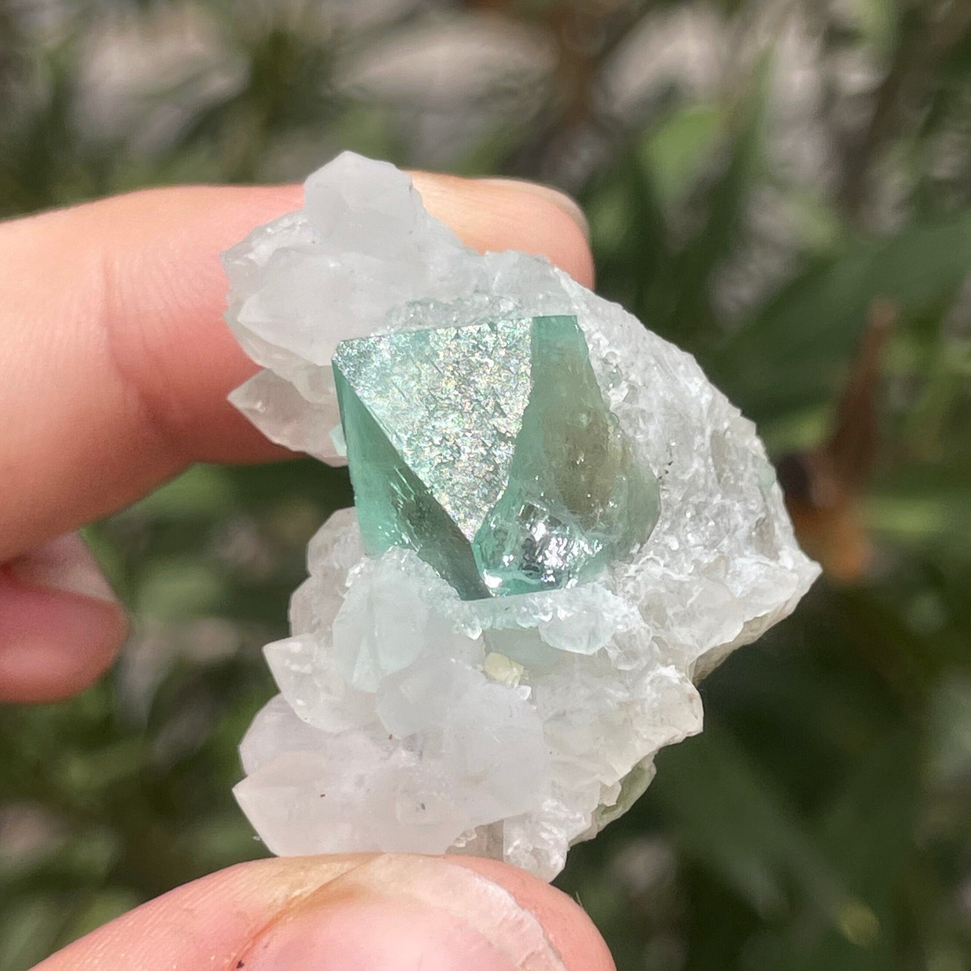 MN0089-Fluorite