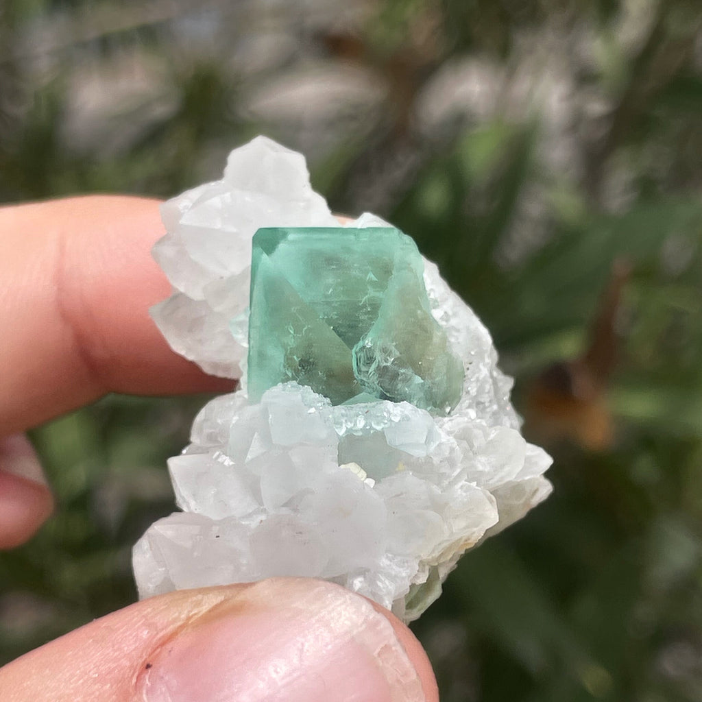 MN0089-Fluorite