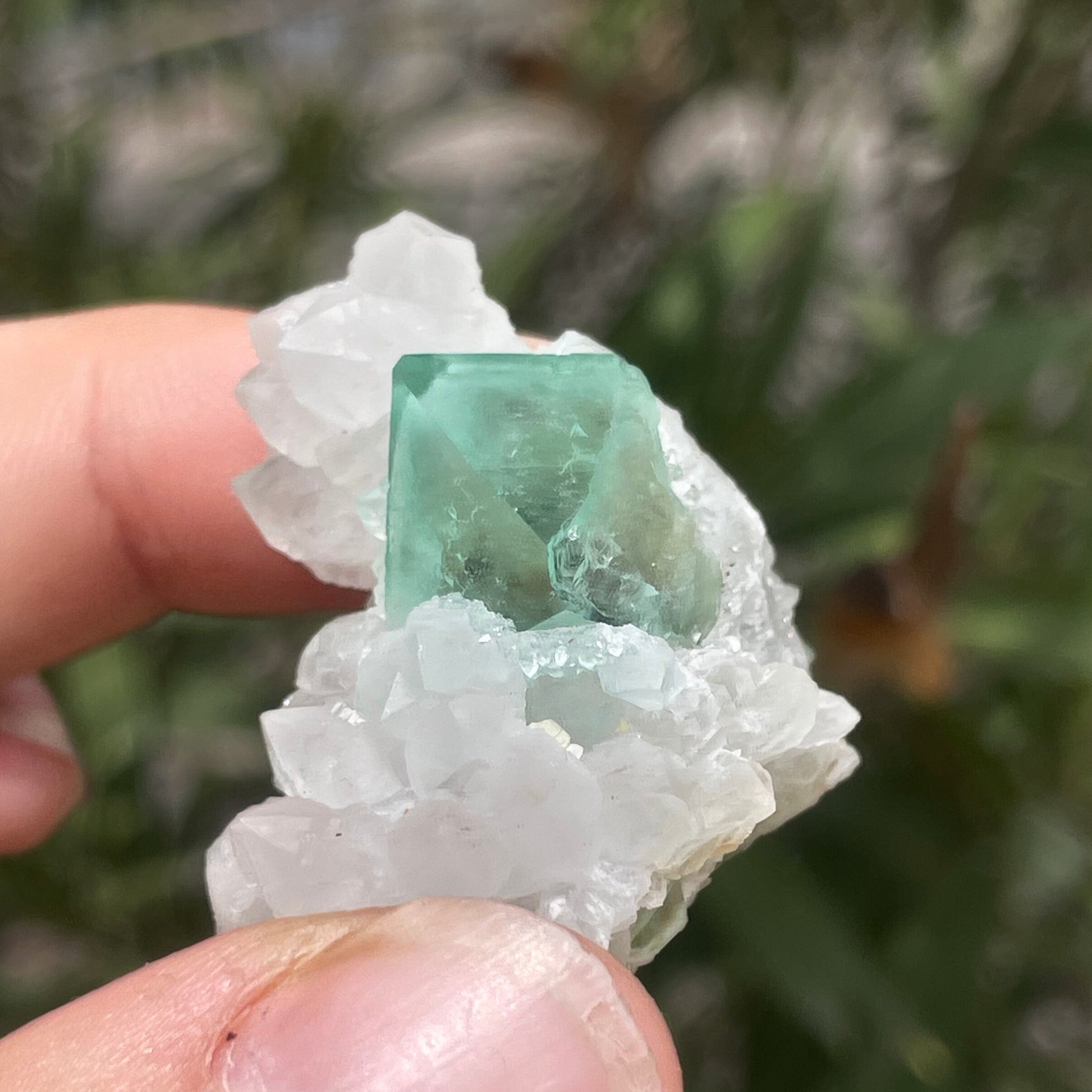 MN0089-Fluorite