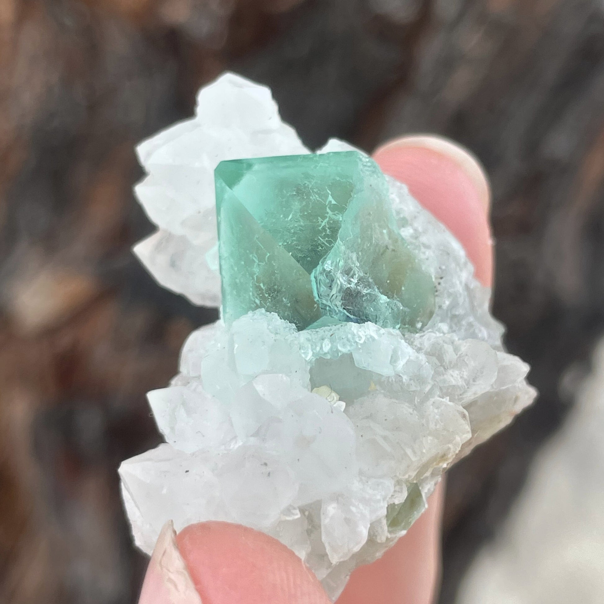 MN0089-Fluorite