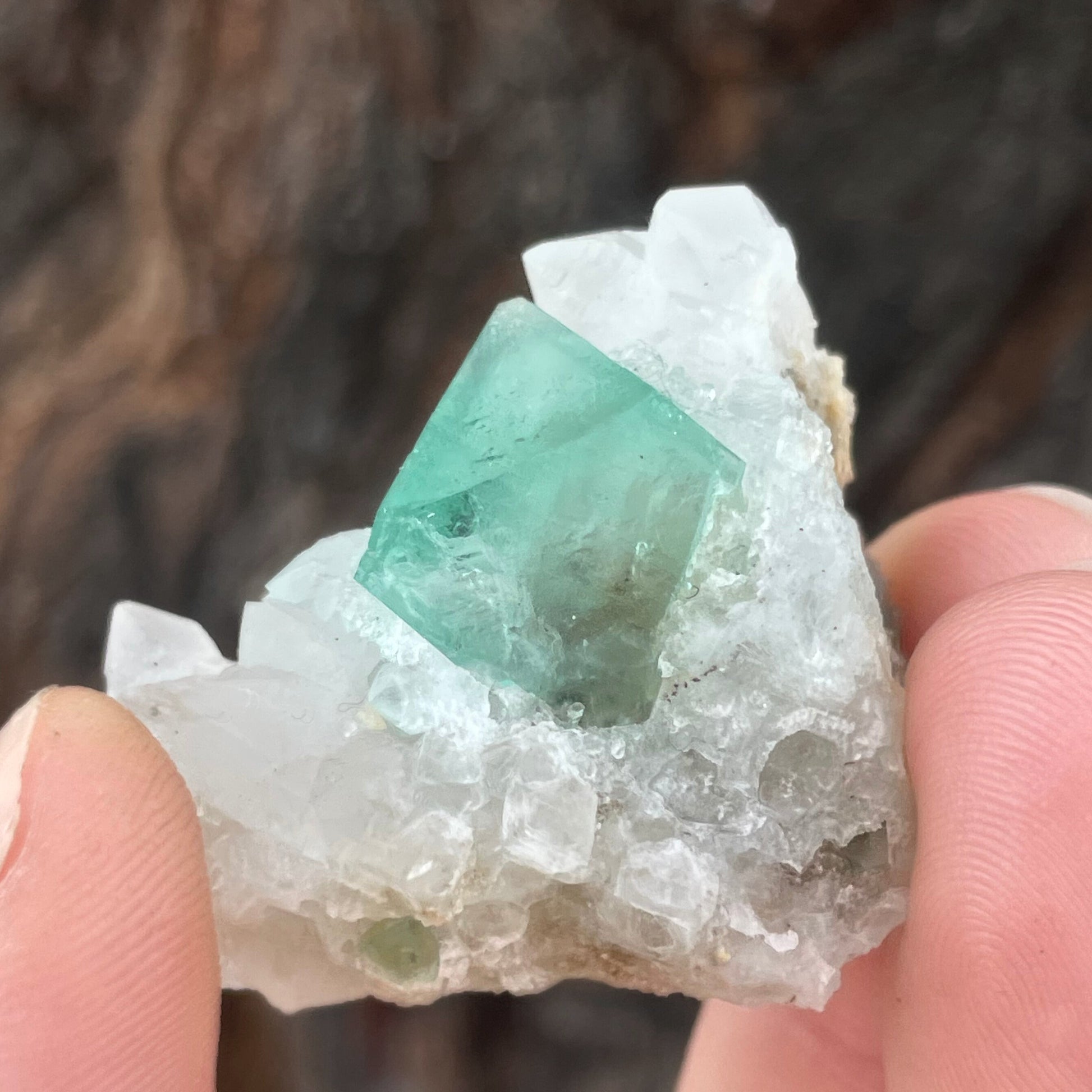 MN0089-Fluorite