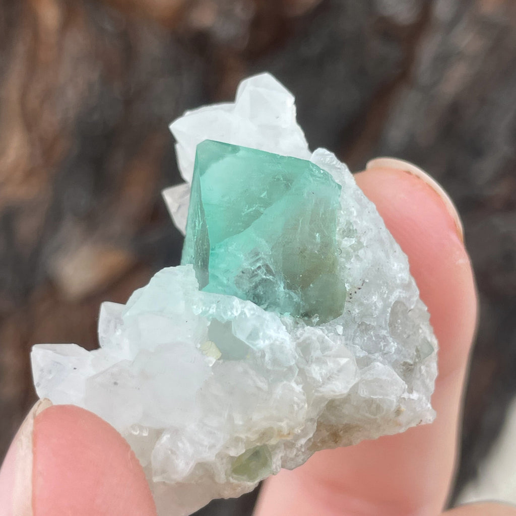MN0089-Fluorite