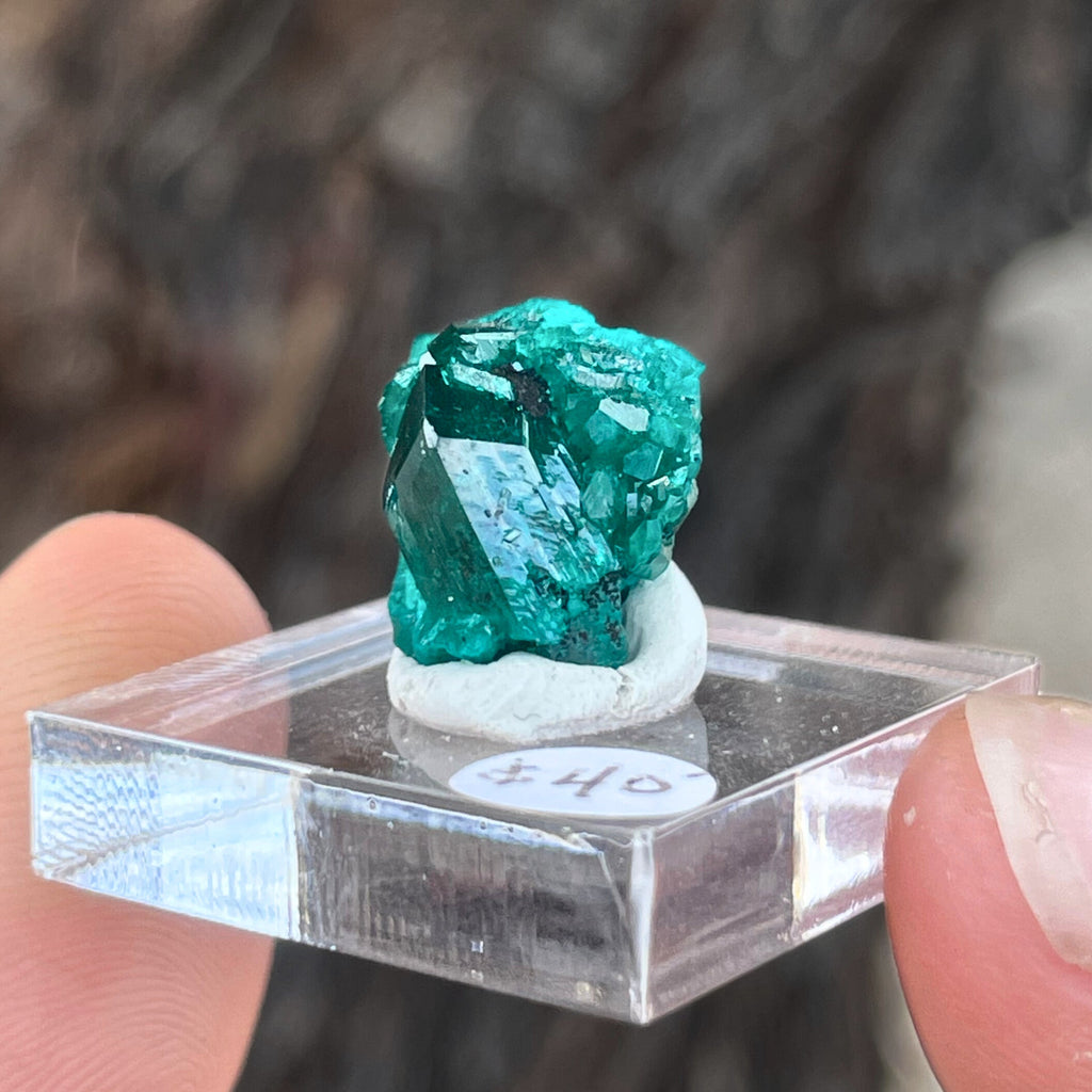 MN0093-Dioptase