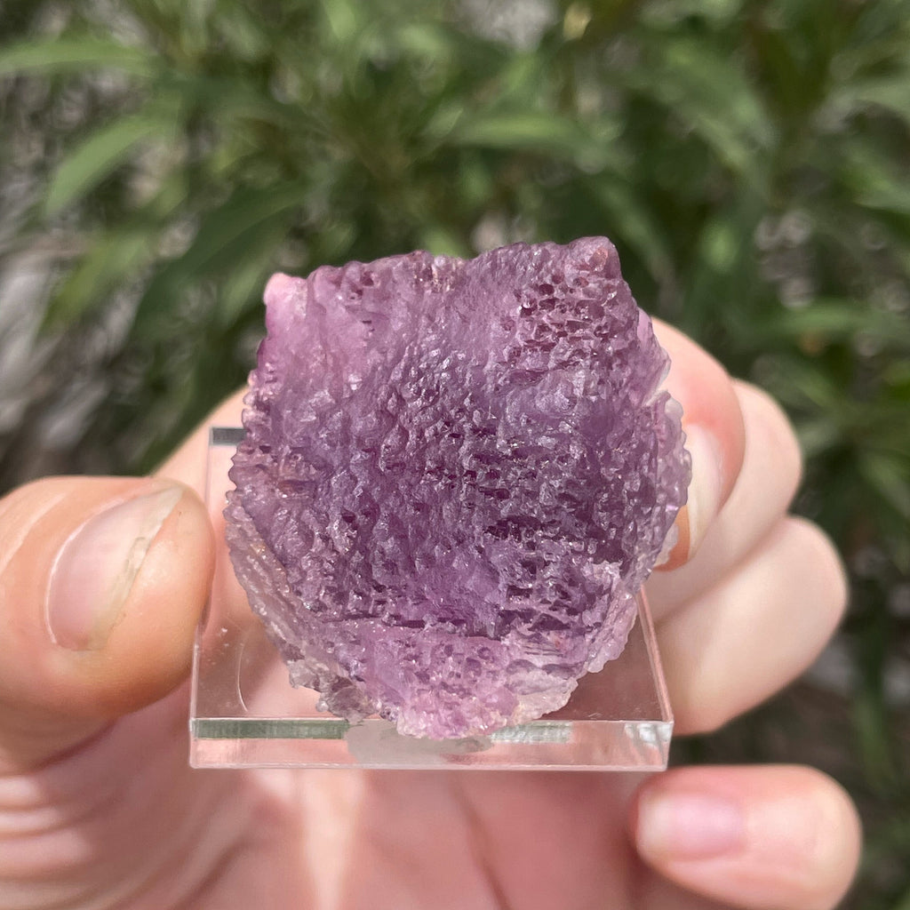 MN0094-Fluorite