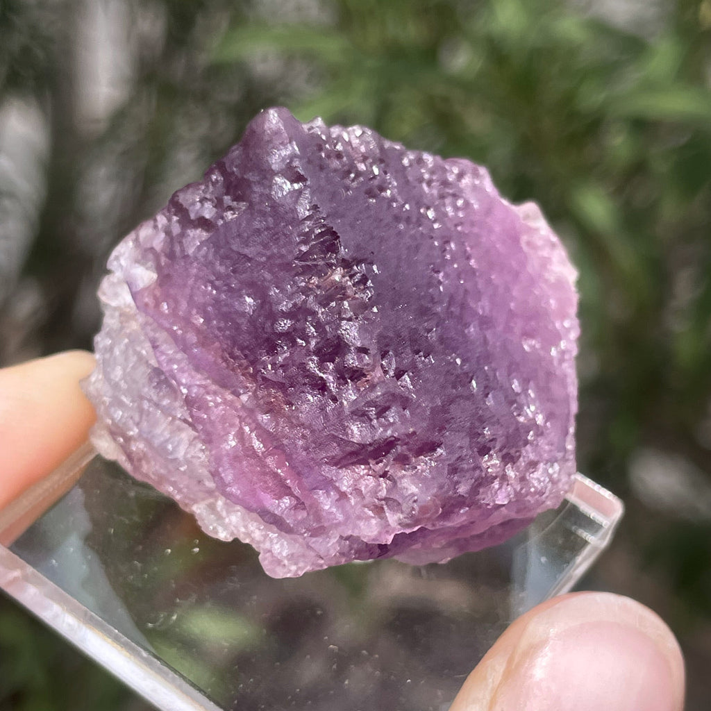 MN0094-Fluorite