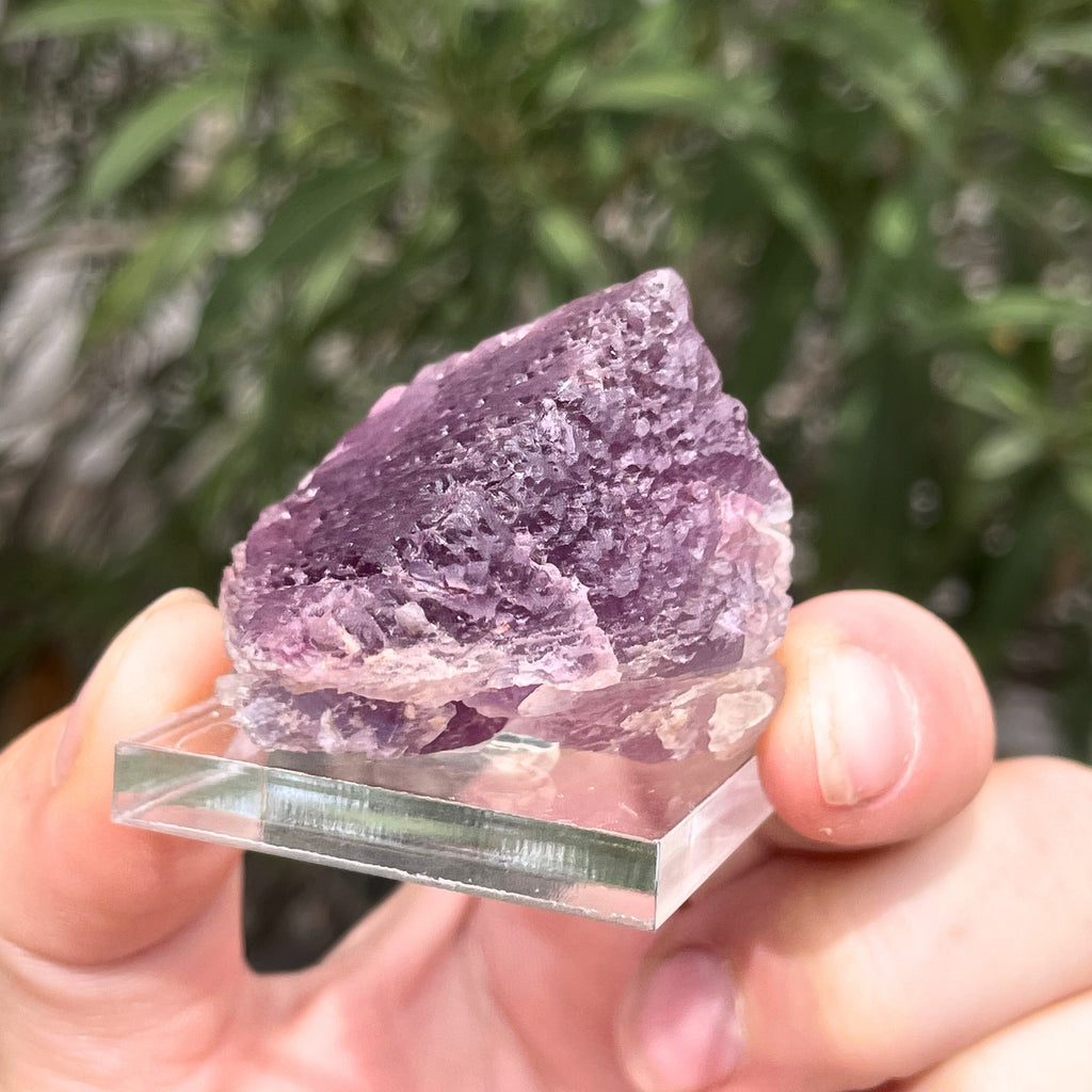 MN0094-Fluorite