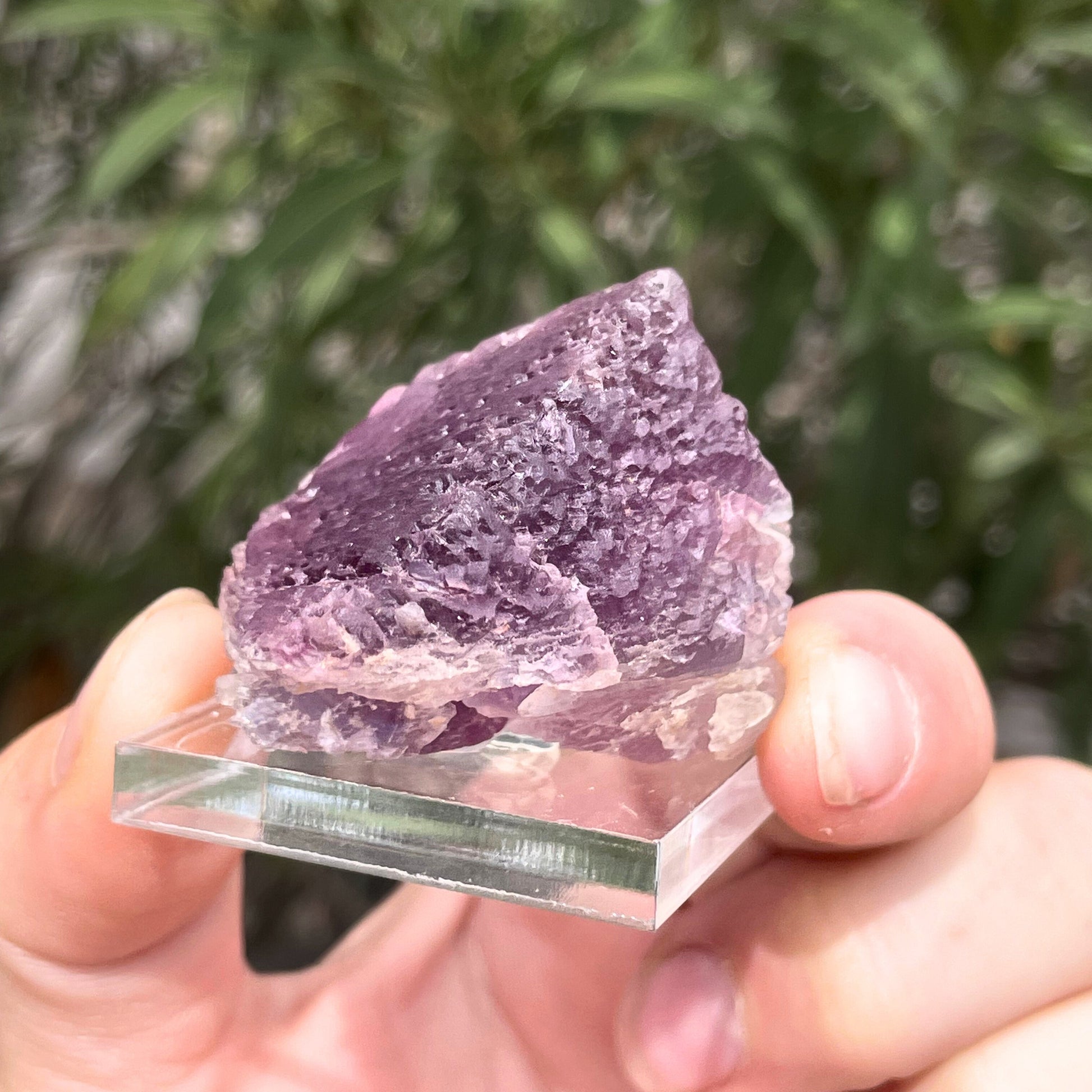MN0094-Fluorite