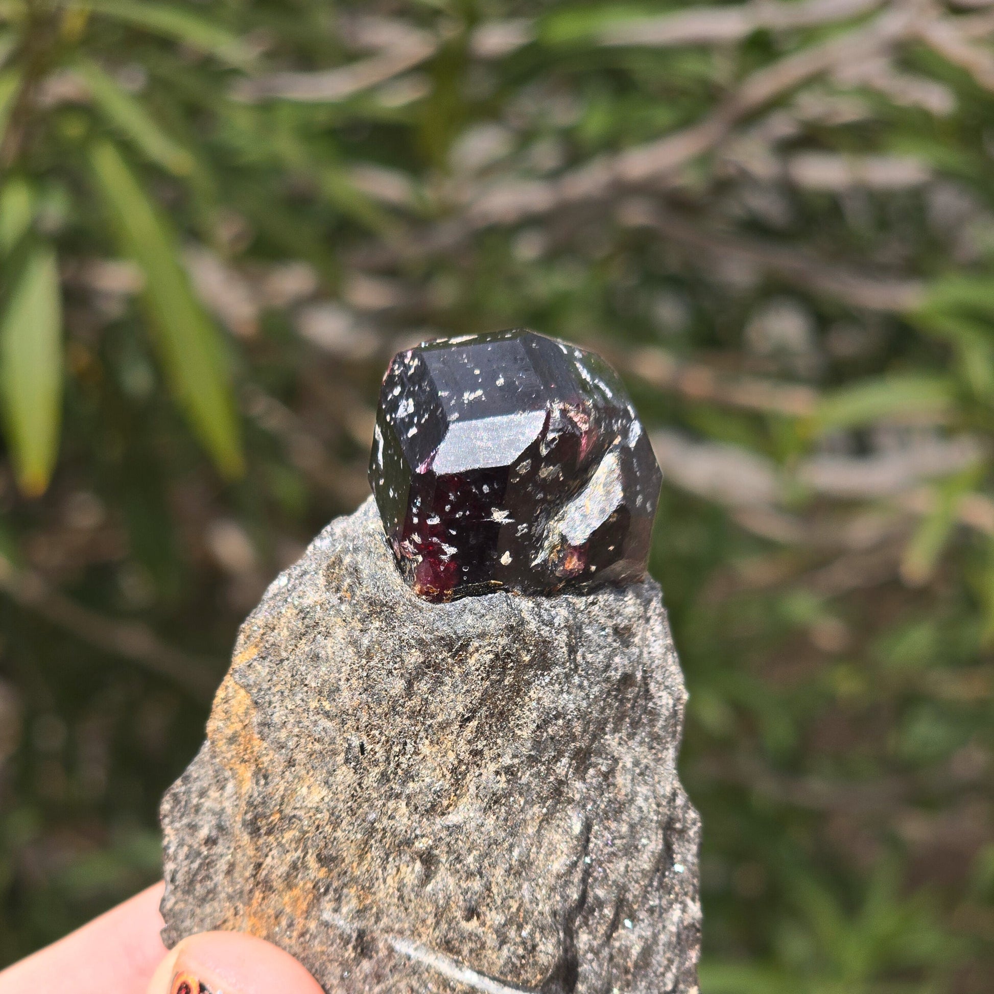MN0095-Almandine Garnet