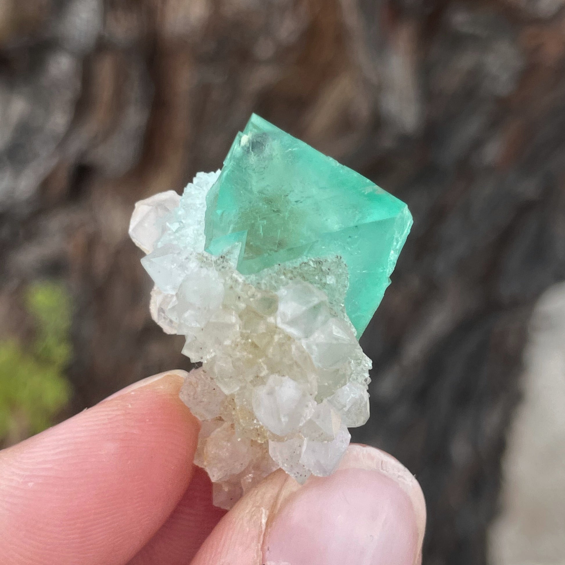 MN0097-Fluorite