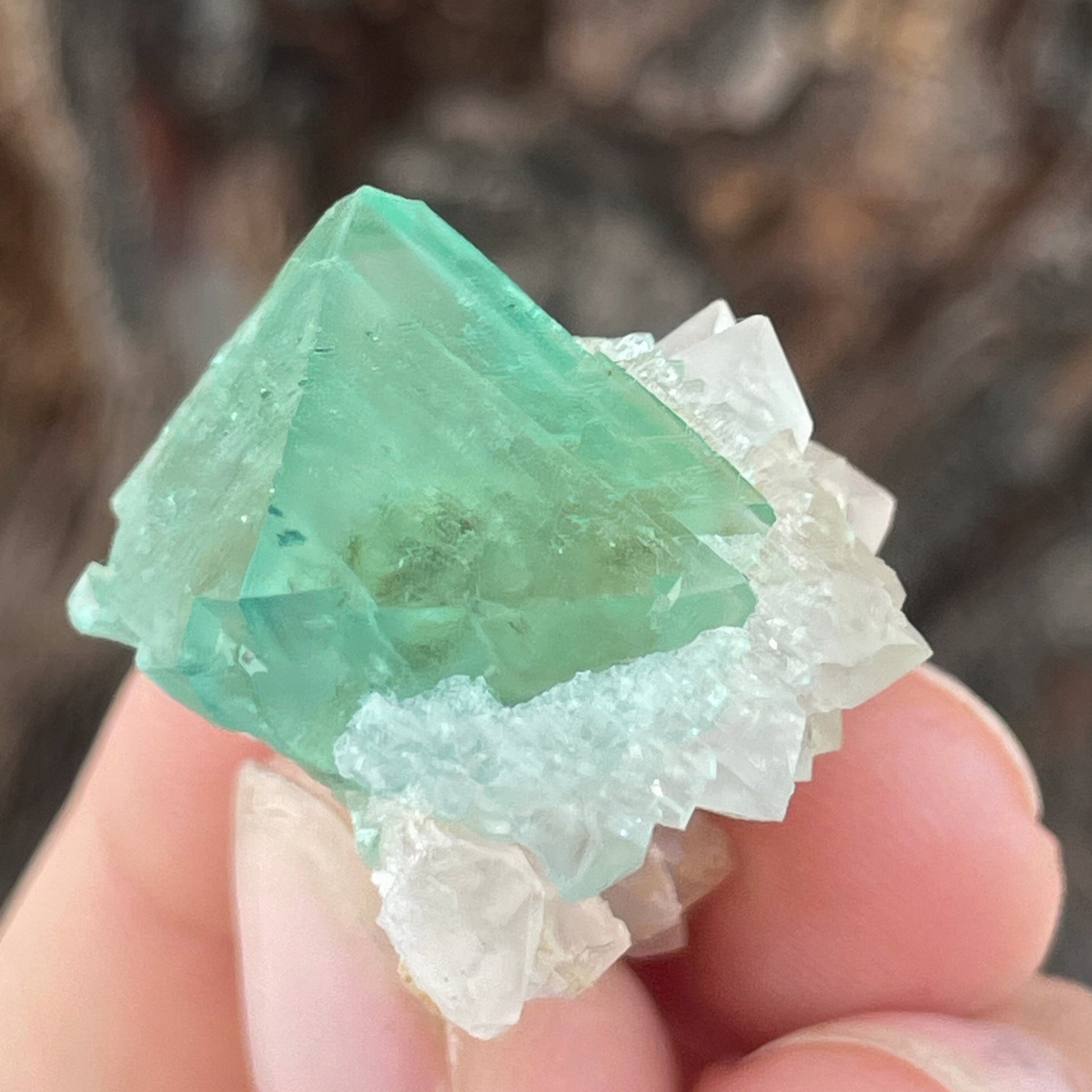 MN0097-Fluorite