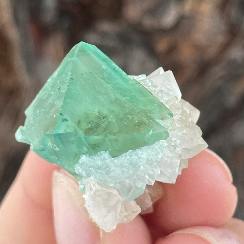 MN0097-Fluorite