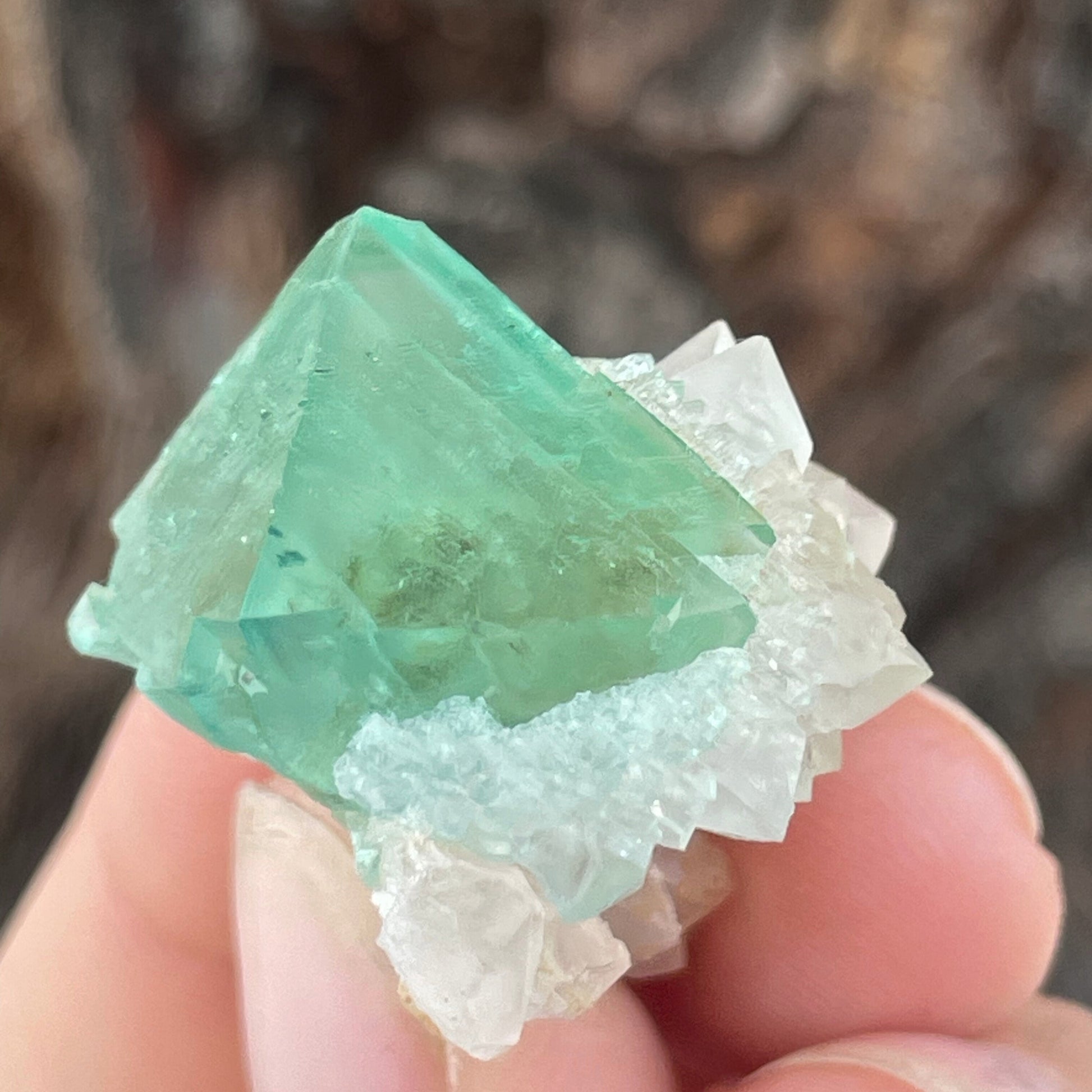 MN0097-Fluorite