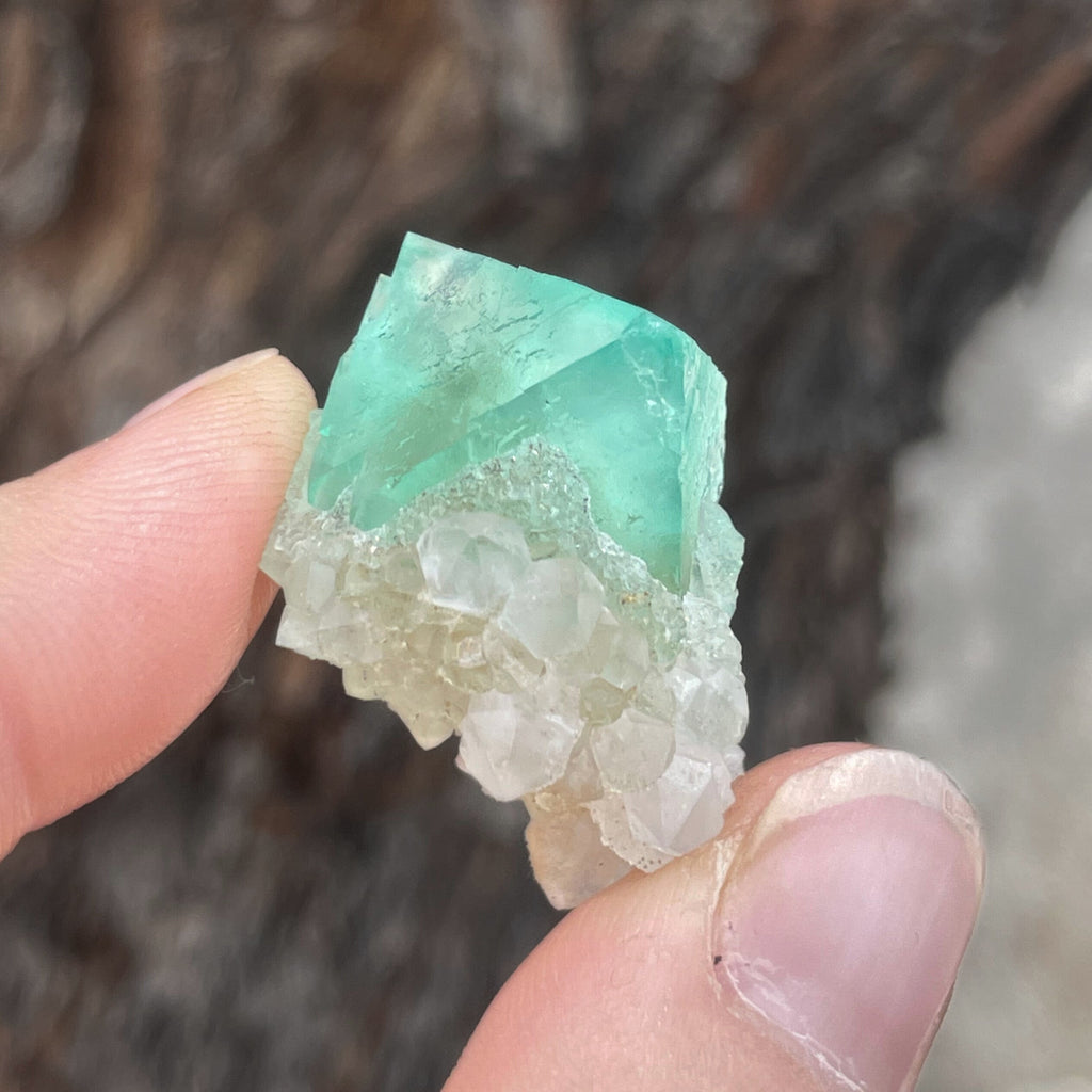 MN0097-Fluorite