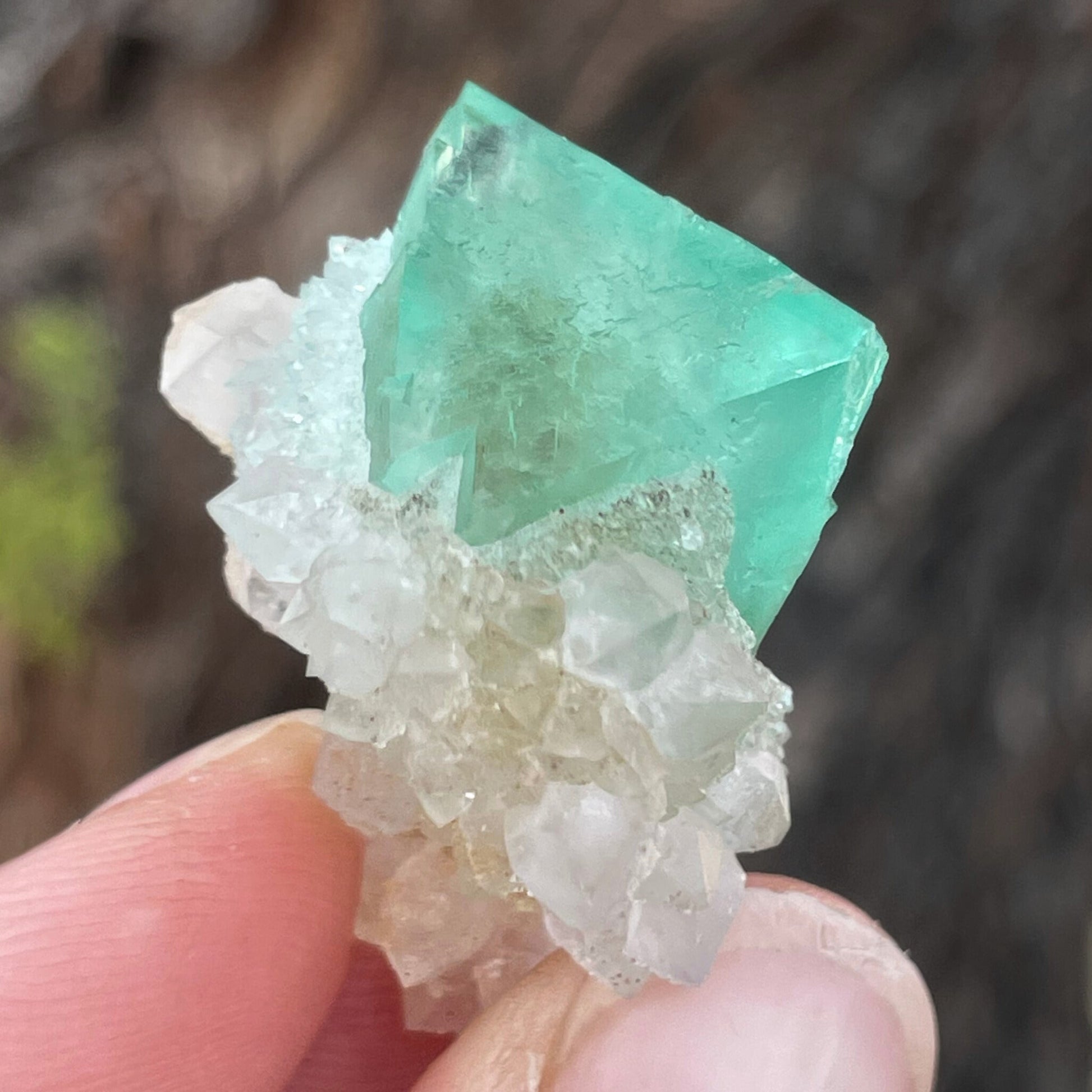 MN0097-Fluorite