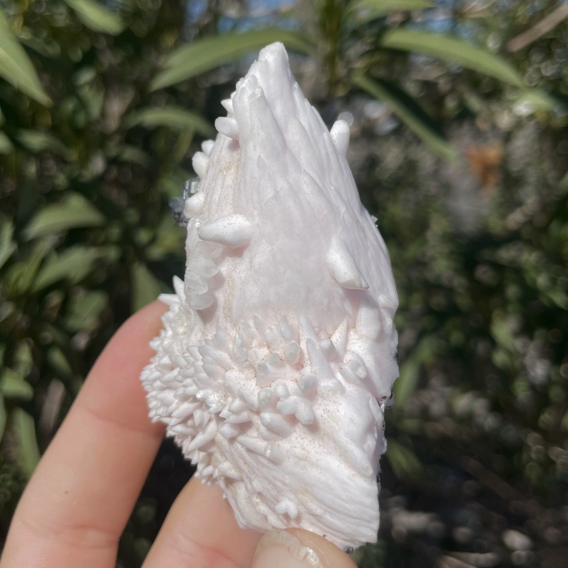 MN0016-Manganocalcite With Quartz And Tetrahedrite