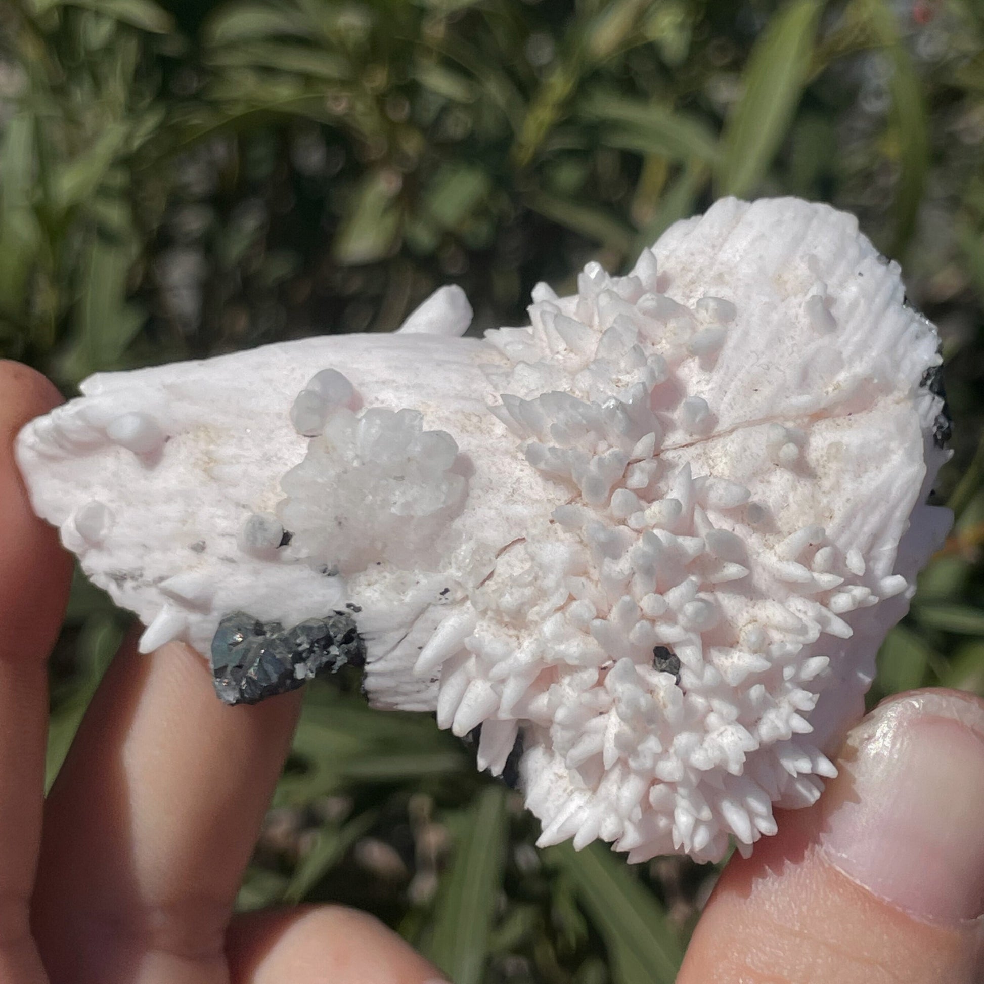 MN0016-Manganocalcite With Quartz And Tetrahedrite