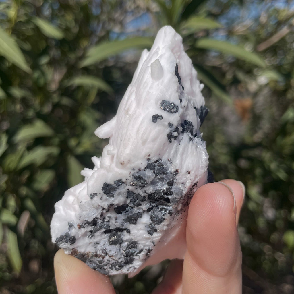 MN0016-Manganocalcite With Quartz And Tetrahedrite