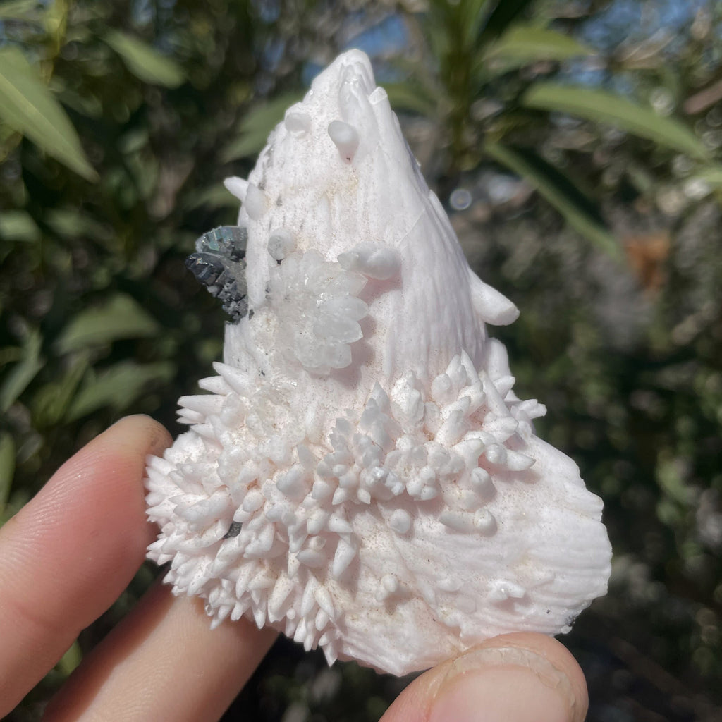 MN0016-Manganocalcite With Quartz And Tetrahedrite