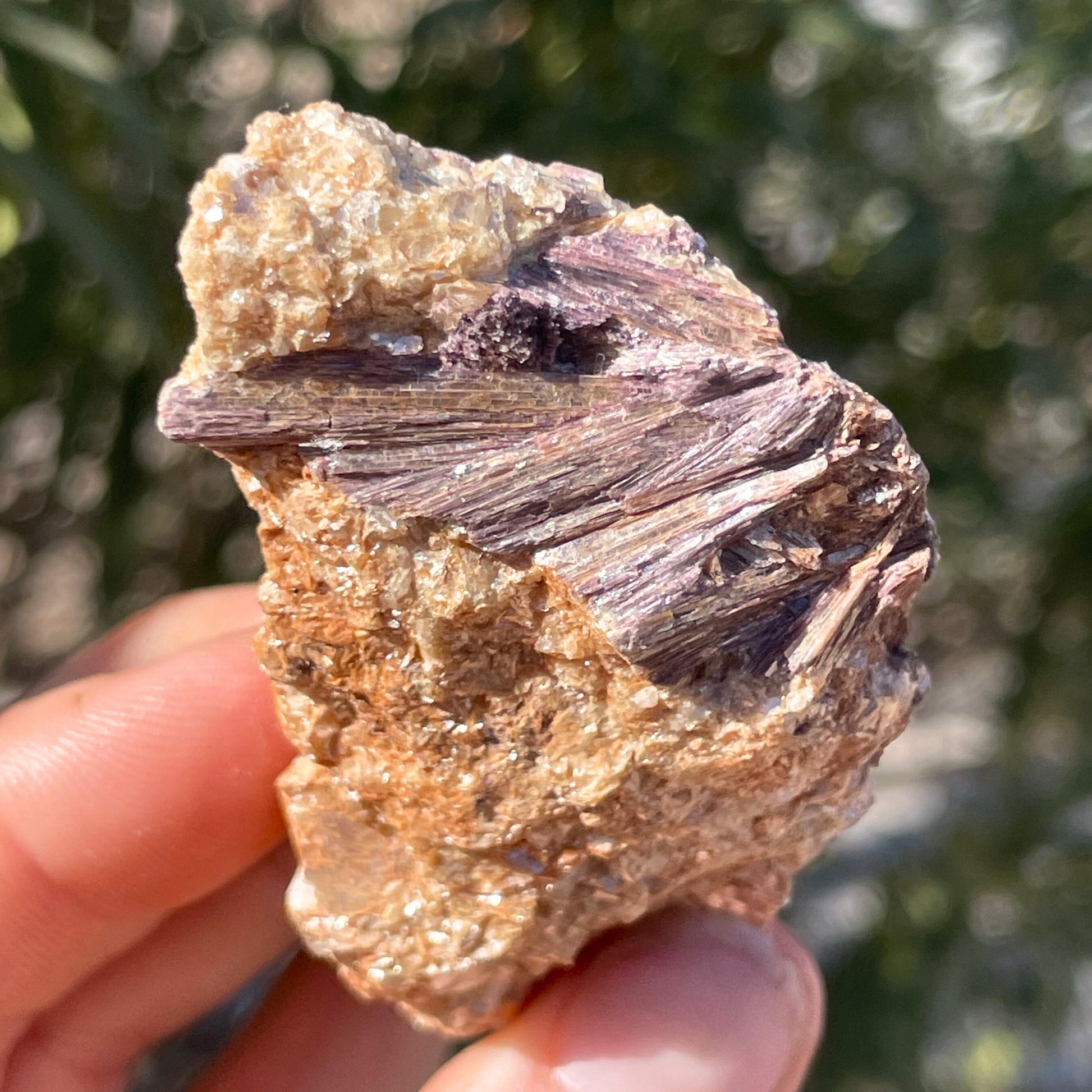 MN0037-Dumortierite (Fluorescent  Sw) W/ Muscovite